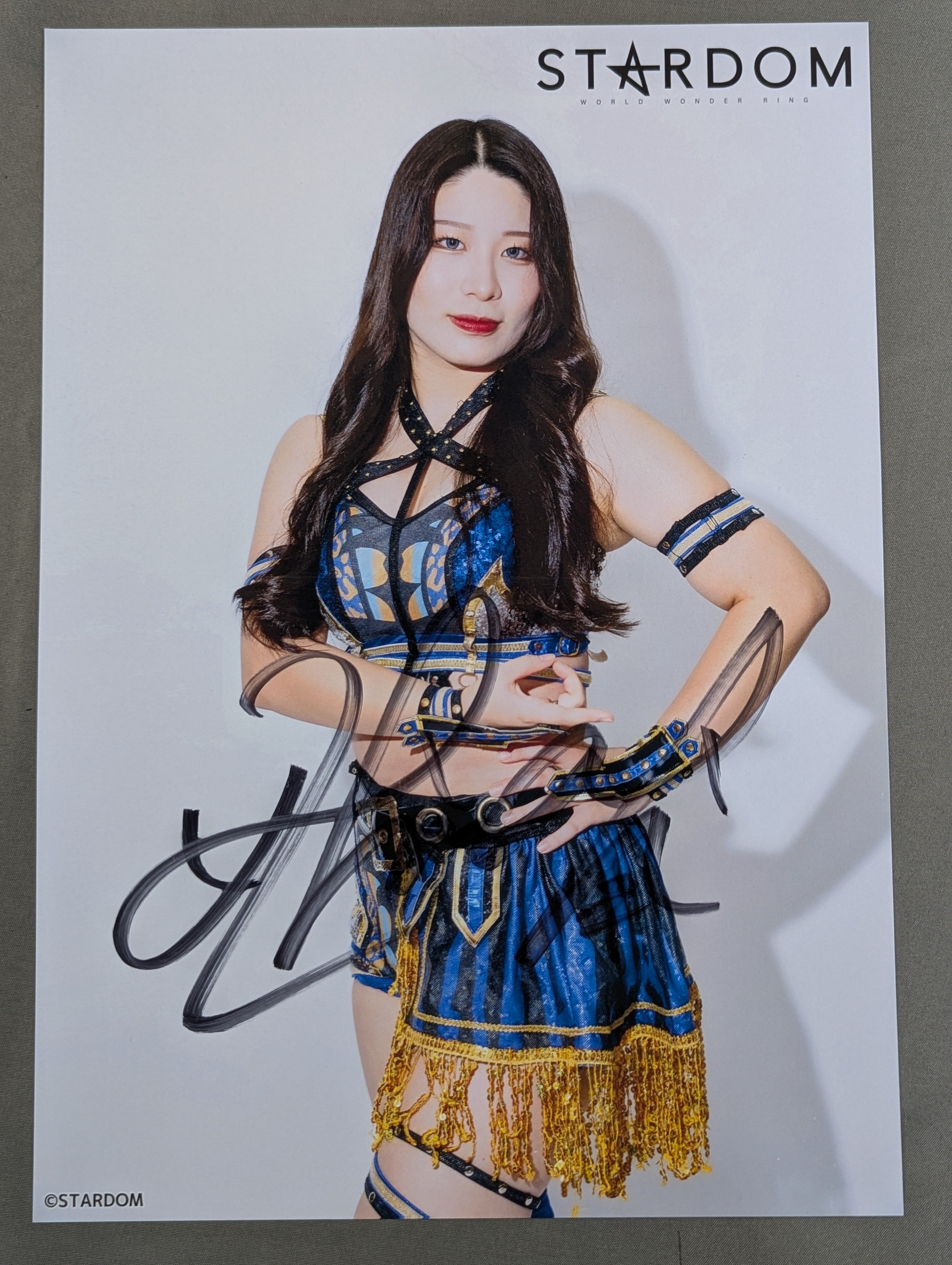 妃南 直筆サイン入り スターダムポートレート(F-1) – 闘道館