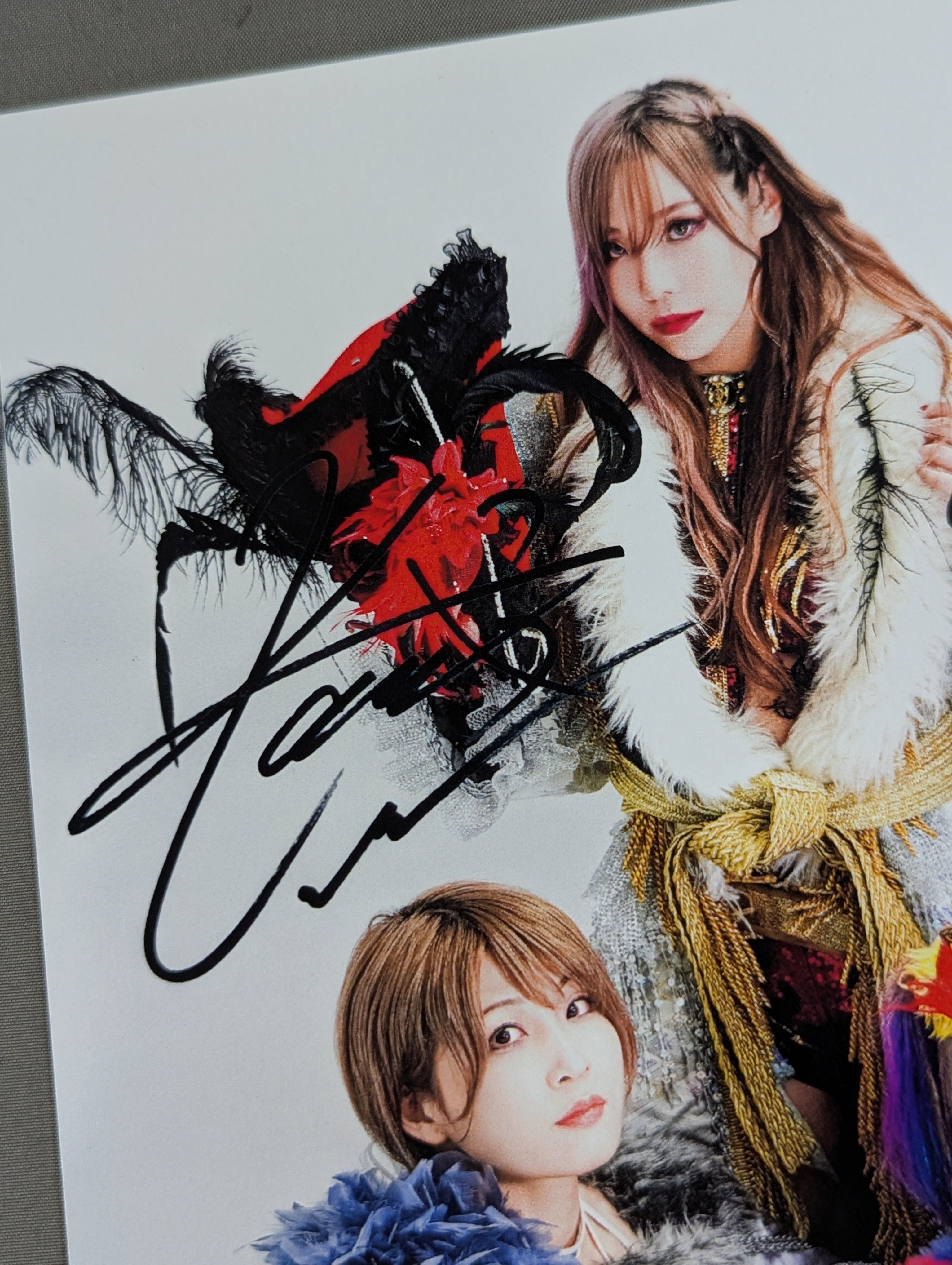 KAIRI.Sareee.安納サオリ.ウナギ・サヤカ ポートレート(A-2) – 闘道館