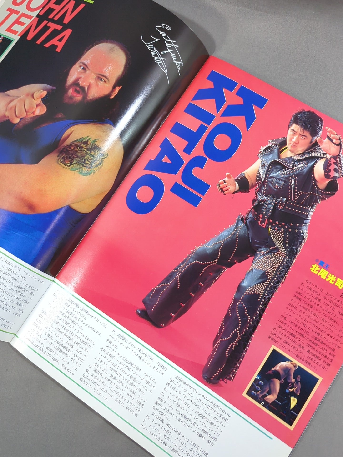 SWS / レッスル・フェスト IN TOKYO DOME – 闘道館