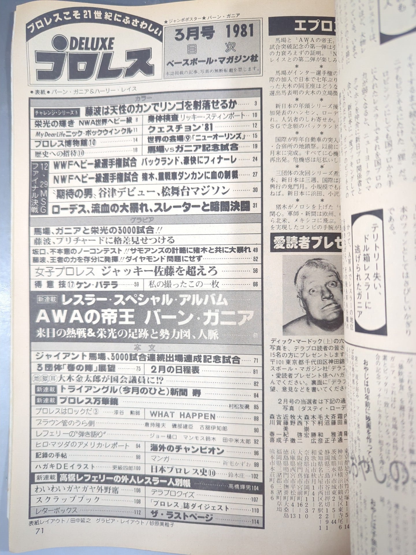 Deluxe Pro Wrestling March 1981