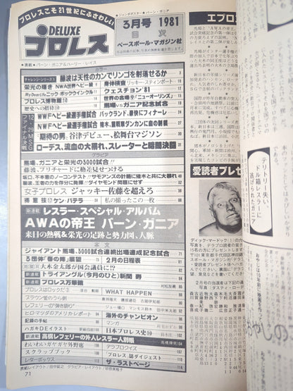 Deluxe Pro Wrestling March 1981