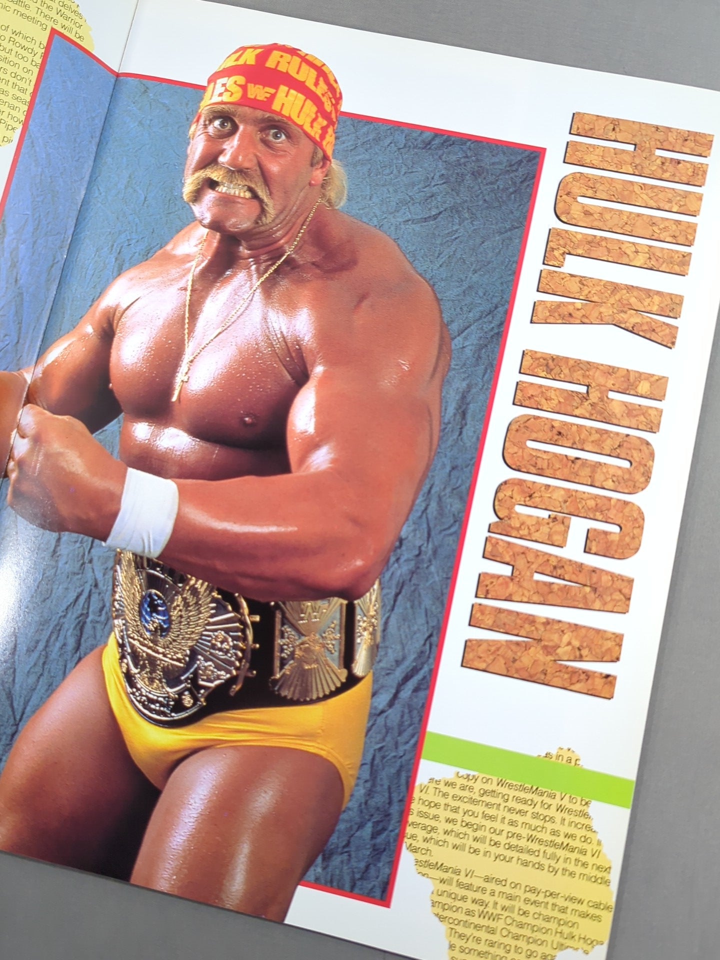 ☆着払限定☆断捨離☆激レア☆オールドボーイ☆アメリカ版☆ポスター☆若干難アリ WWF・全日本・新日本 / 日米レスリングサミット – 闘道館