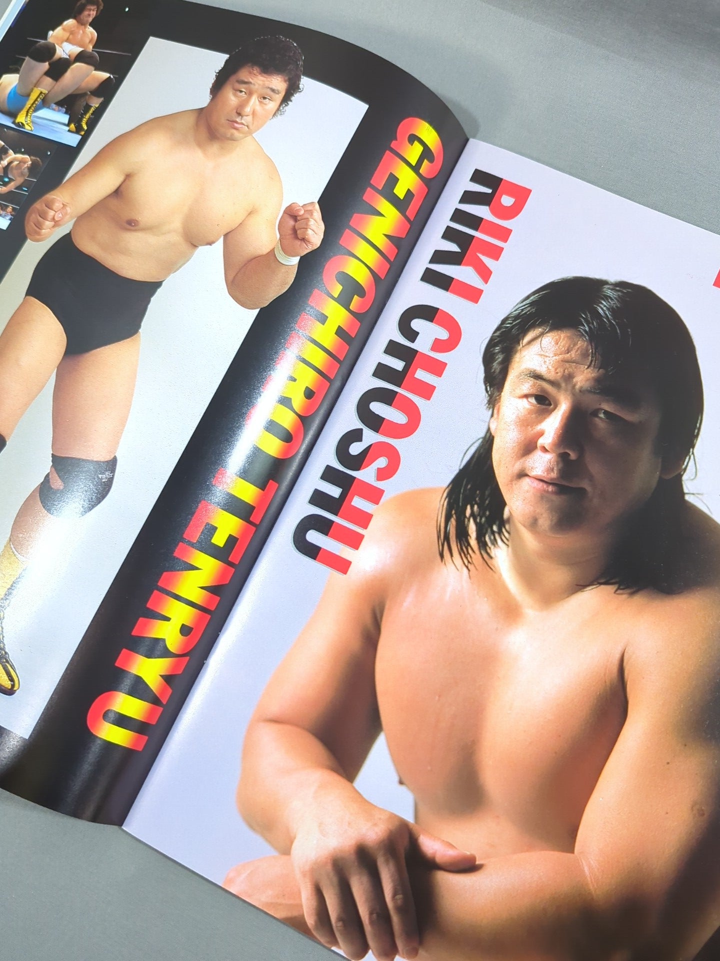 WWF・全日本・新日本 / 日米レスリングサミット – 闘道館