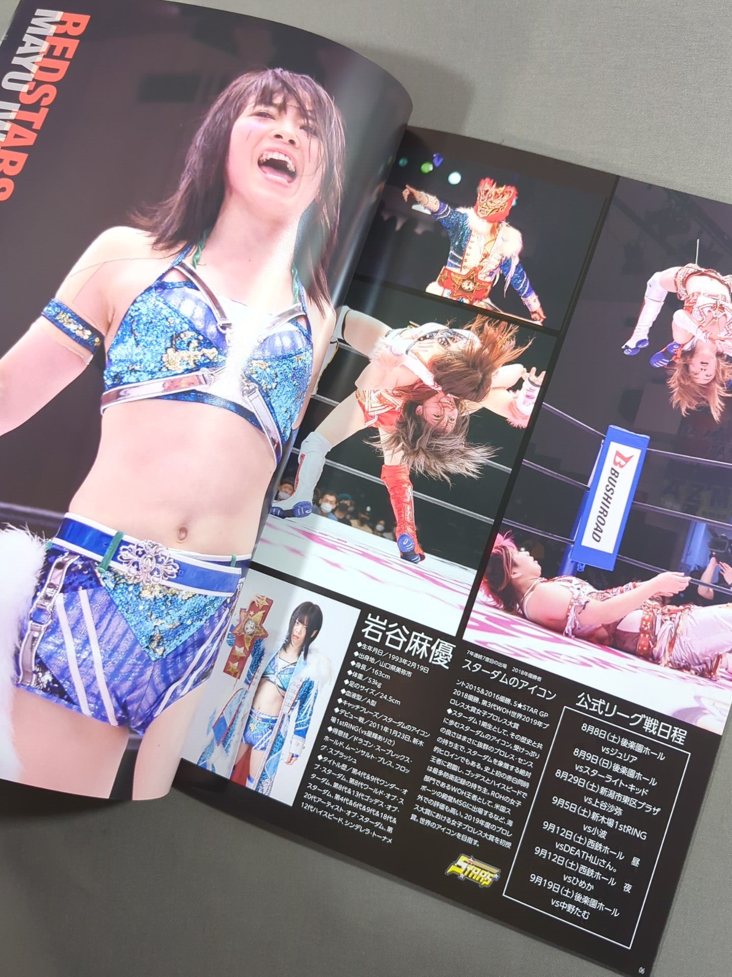 STARDOM OFFICIAL GUIDE BOOK Vol.131