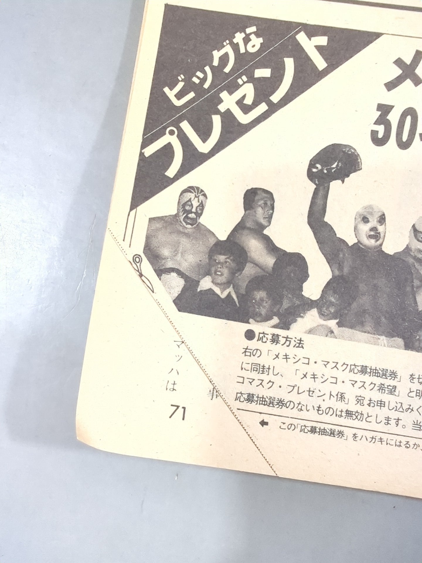 デラックスプロレス 1981年11月号
