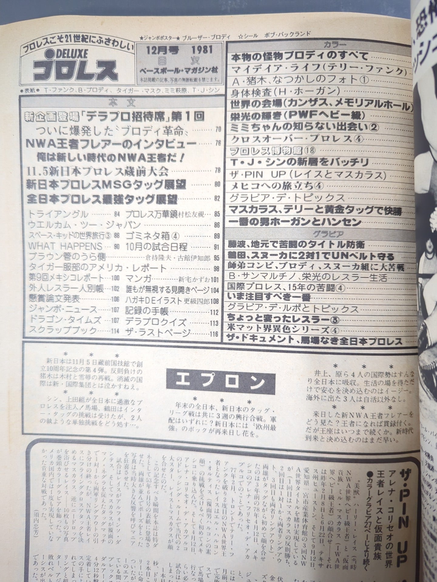 Deluxe Pro Wrestling December 1981