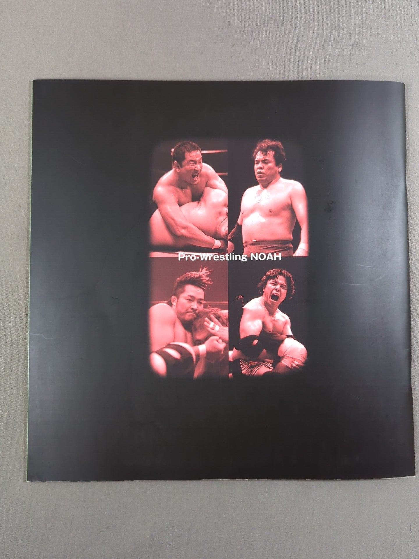 2004 GREAT VOYAGE / Nippon Budokan Tournament