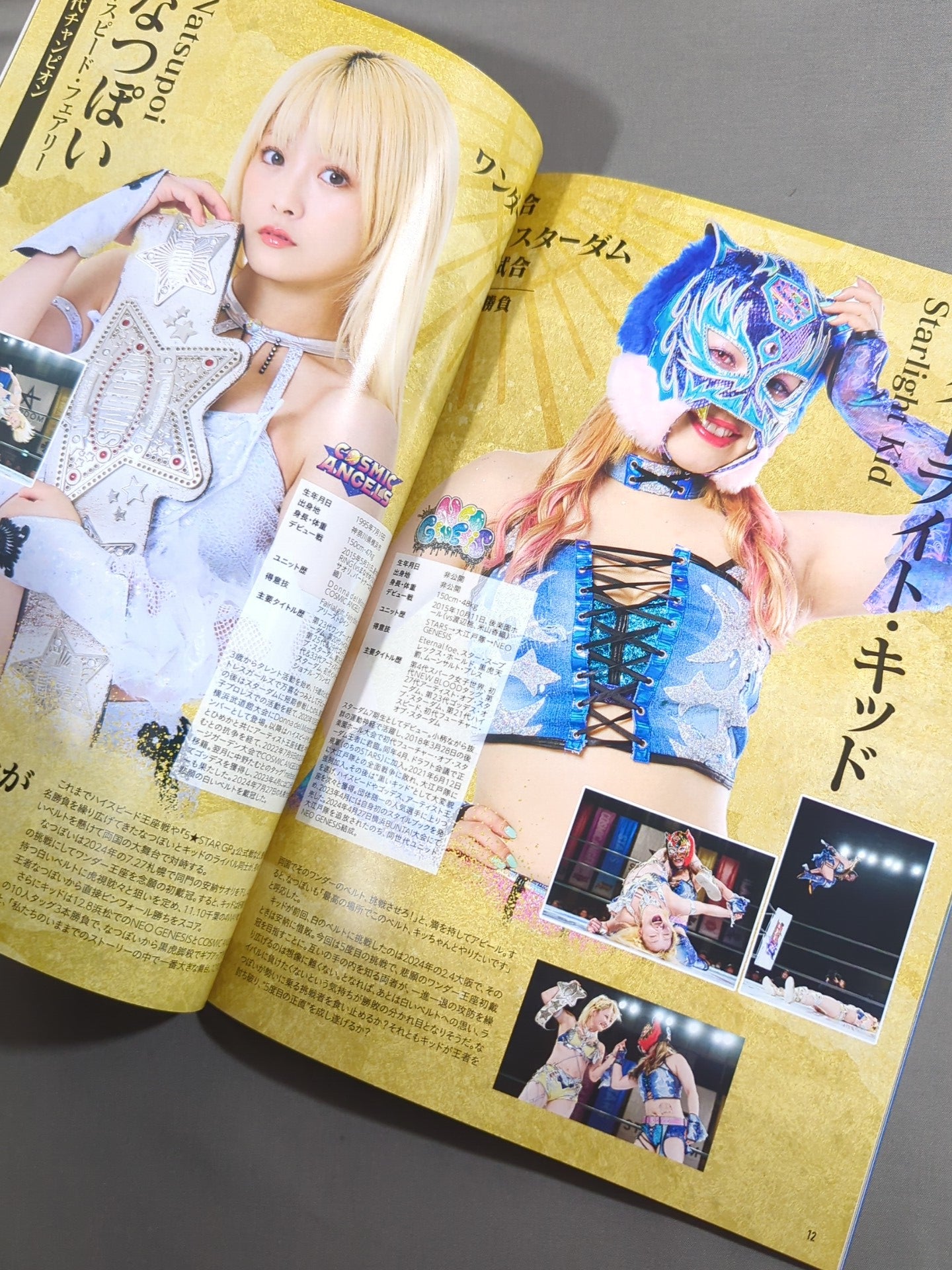 STARDOM DREAM QUEENDOM 2024 / OFFICIAL GUIDE BOOK Vol.154