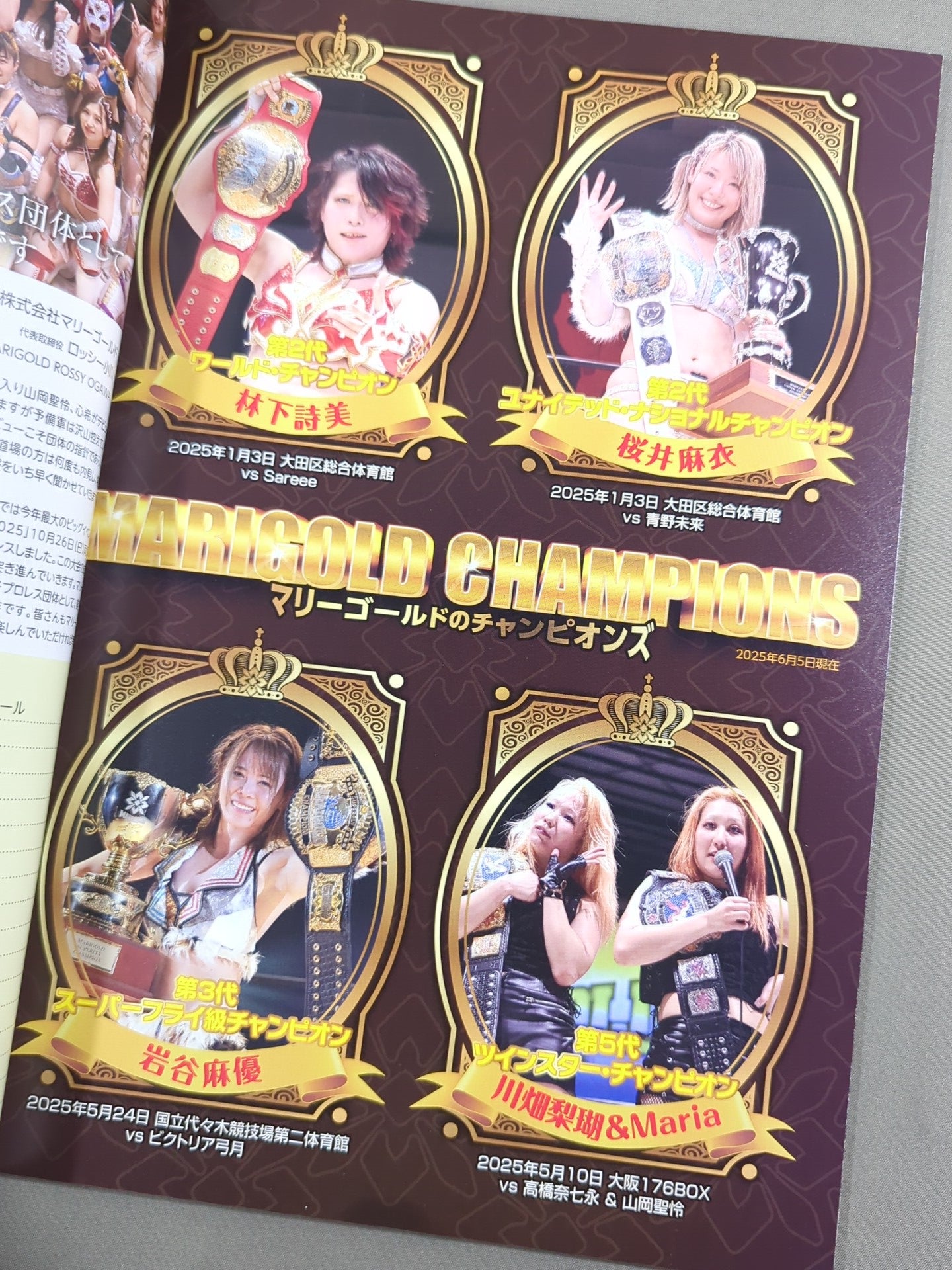 マリーゴールド / MARIGOLD GUIDE BOOK Vol.12