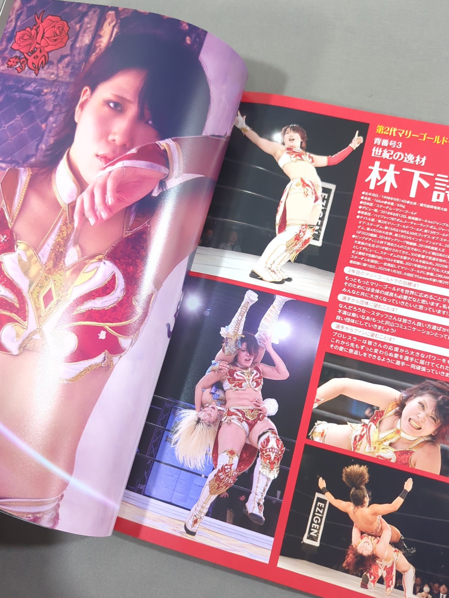 マリーゴールド / MARIGOLD GUIDE BOOK Vol.12