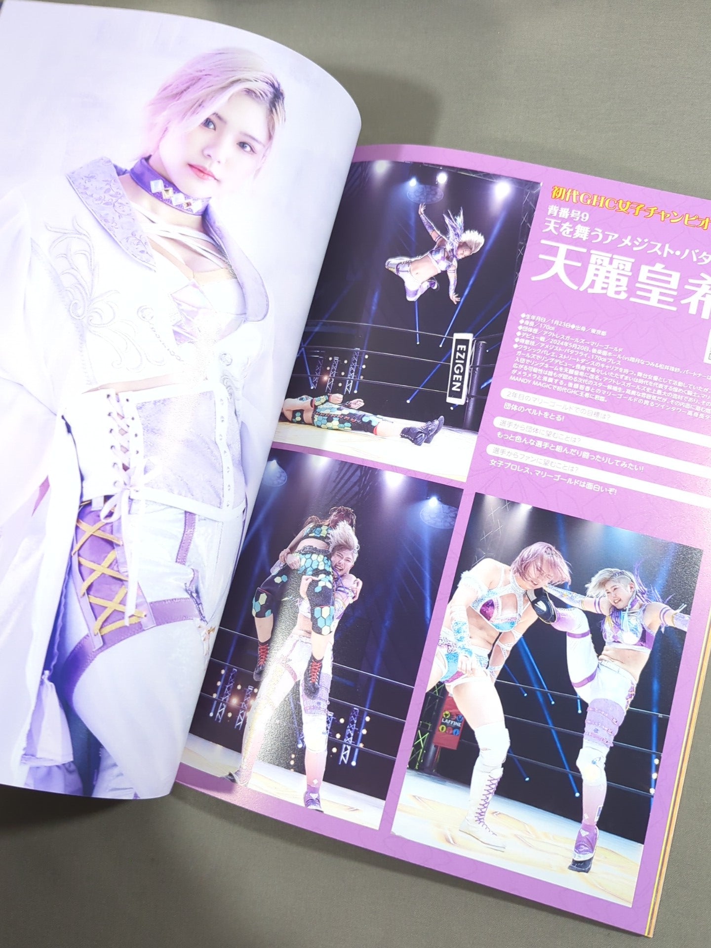 マリーゴールド / MARIGOLD GUIDE BOOK Vol.12 – 闘道館