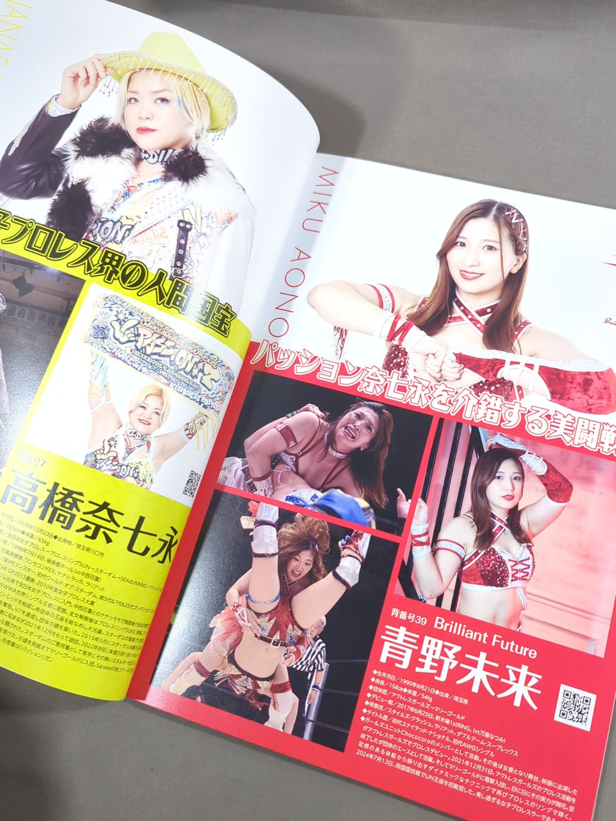 マリーゴールド / MARIGOLD GUIDE BOOK Vol.11 SHINE FOREVER 2025