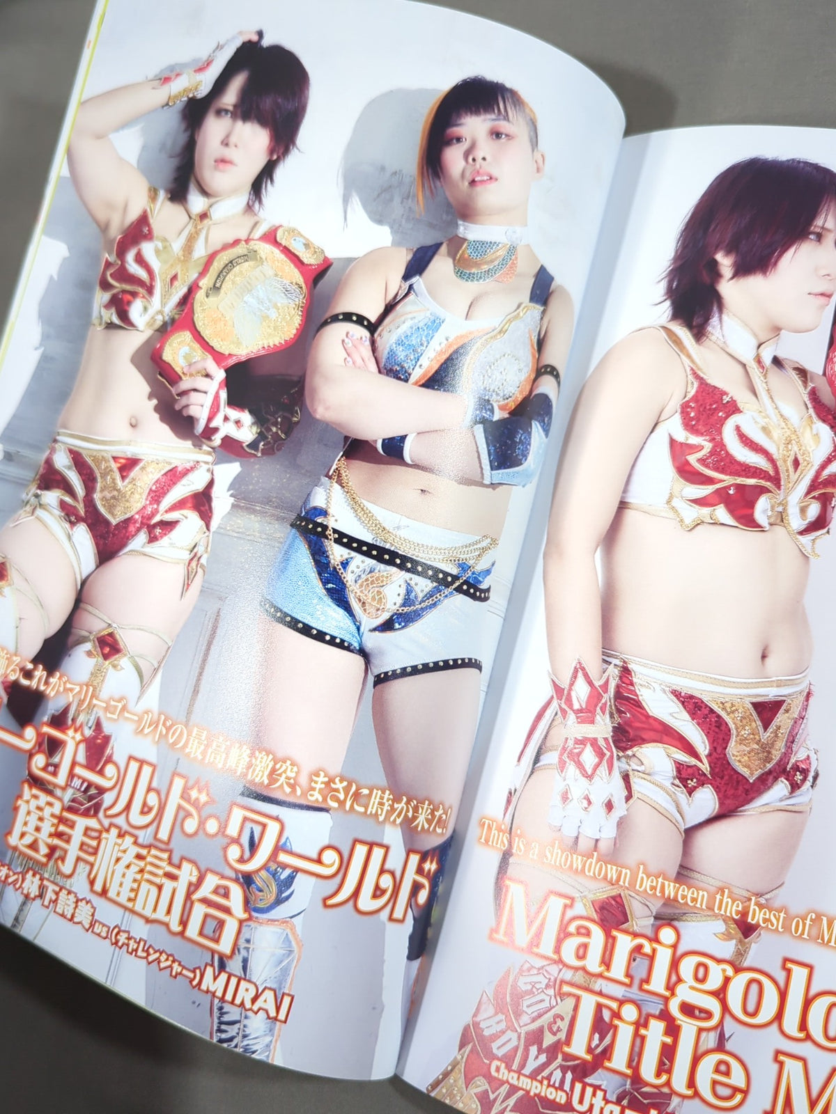 マリーゴールド / MARIGOLD GUIDE BOOK Vol.11 SHINE FOREVER 2025