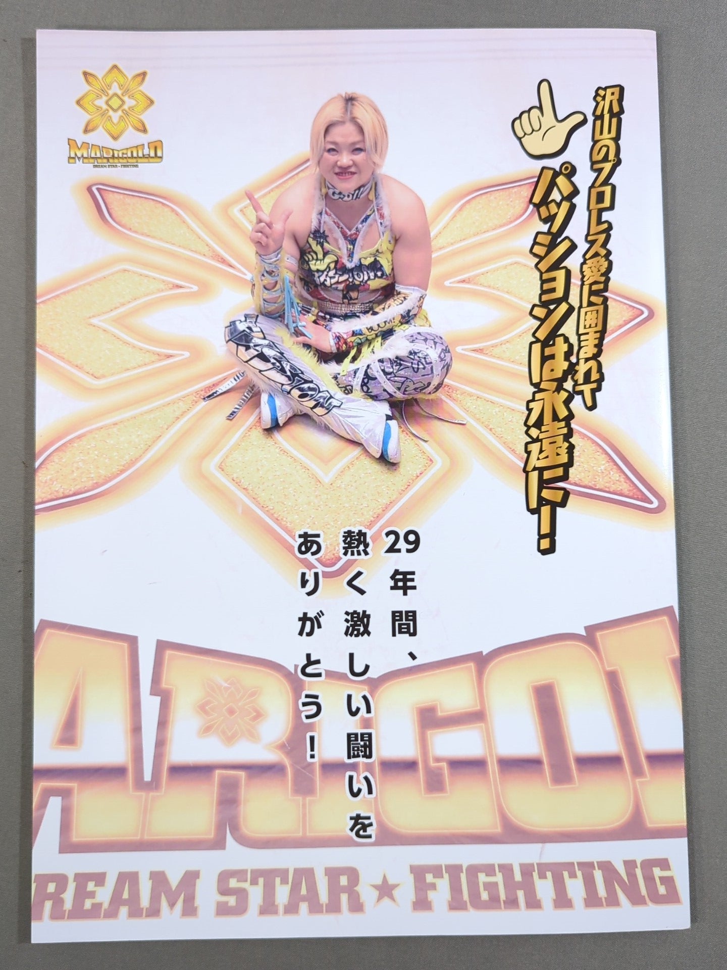 マリーゴールド / MARIGOLD GUIDE BOOK Vol.11 SHINE FOREVER 2025