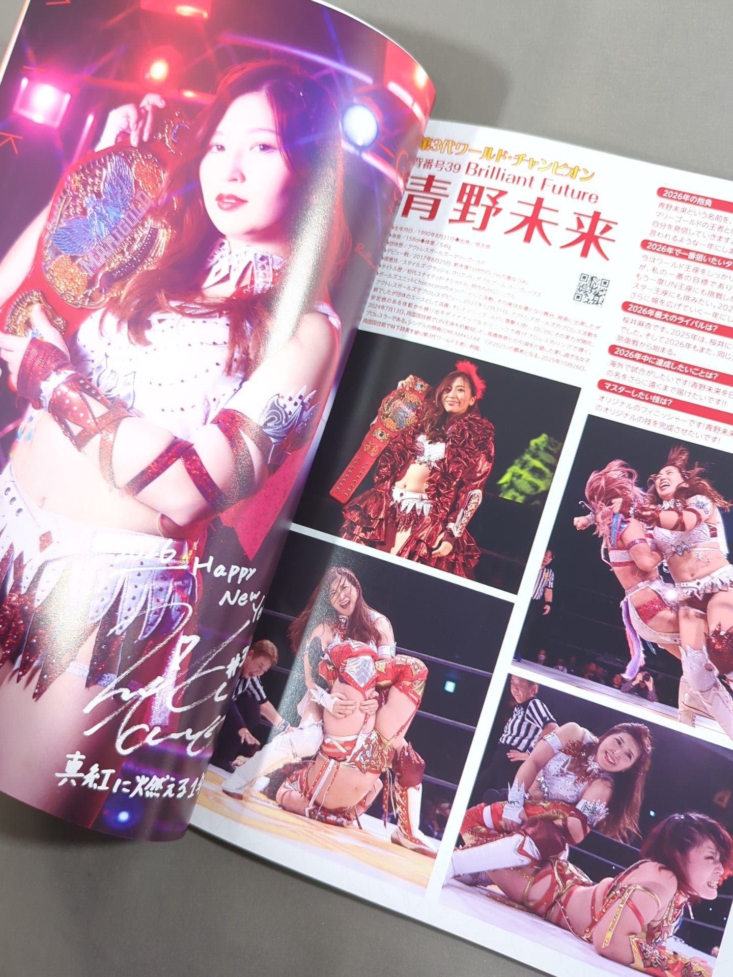 マリーゴールド / MARIGOLD GUIDE BOOK Vol.17 Marigold First dream 2026