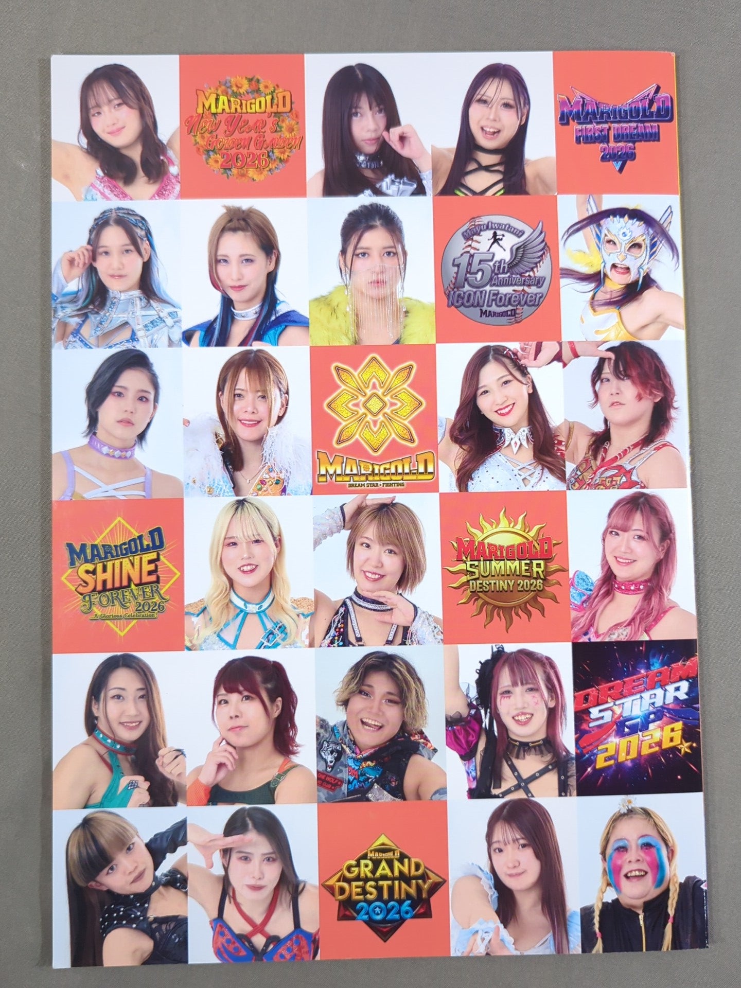マリーゴールド / MARIGOLD GUIDE BOOK Vol.17 Marigold First dream