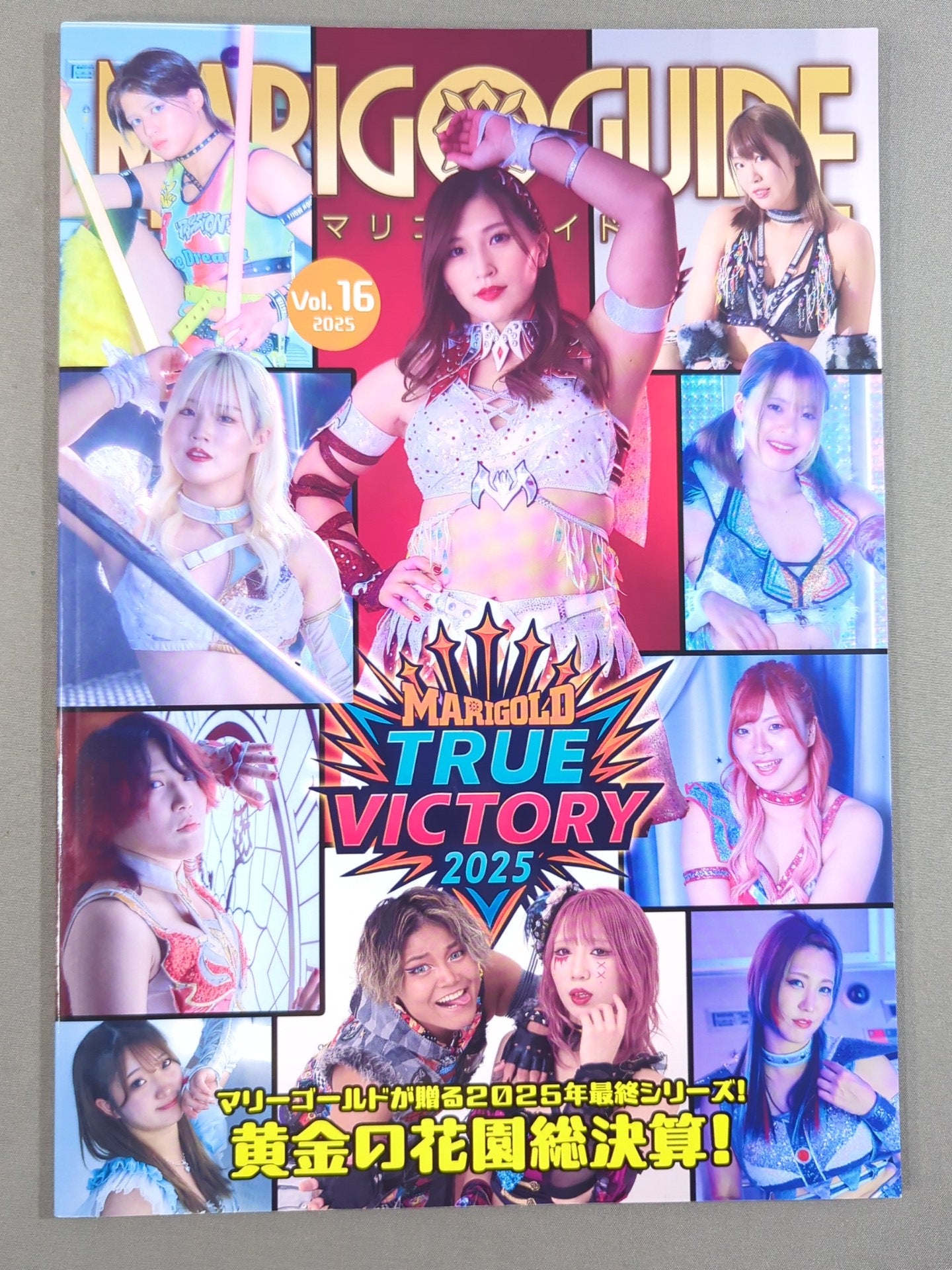 MARIGOLD GUIDE BOOK Vol.16