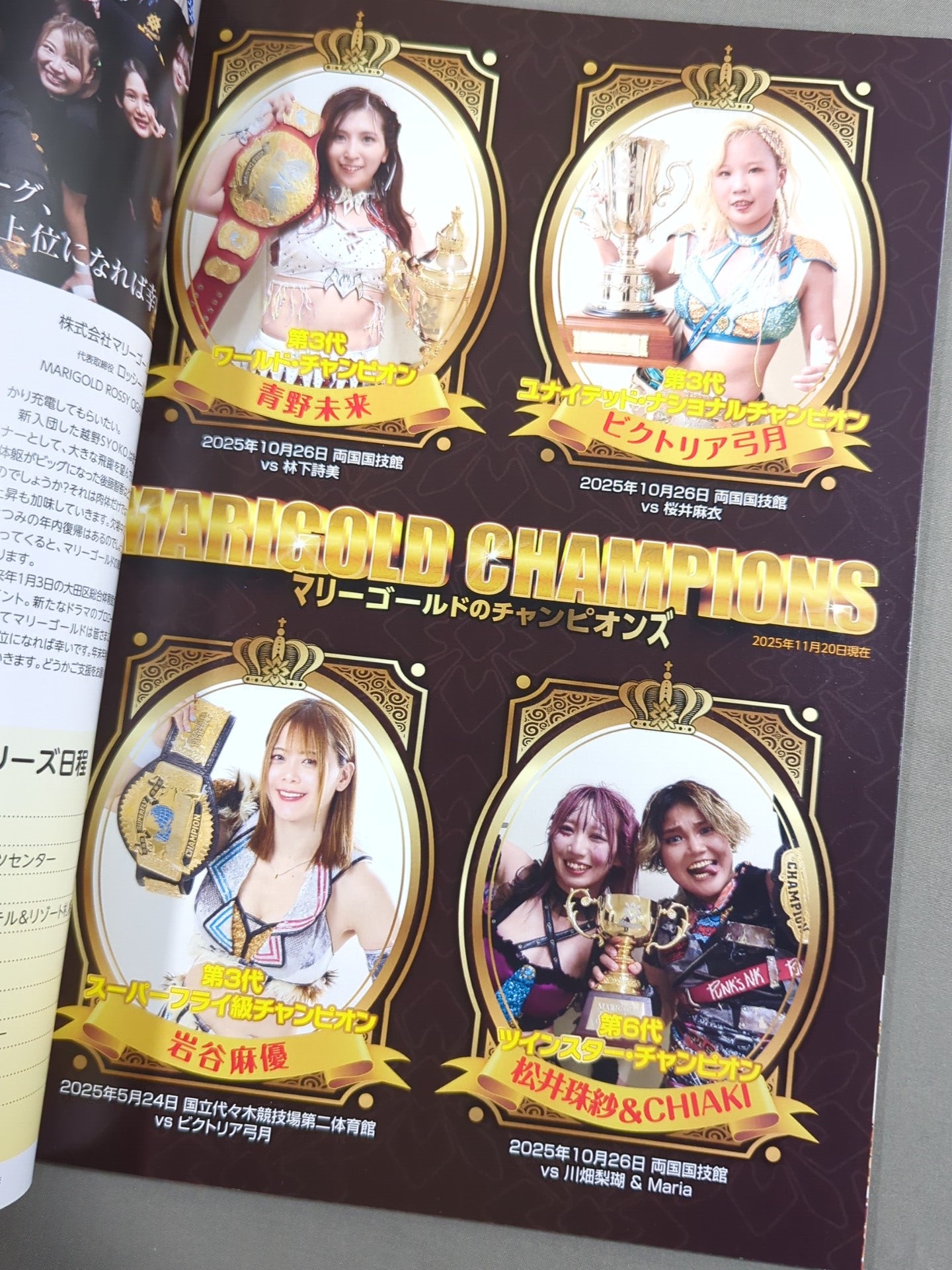 MARIGOLD GUIDE BOOK Vol.16