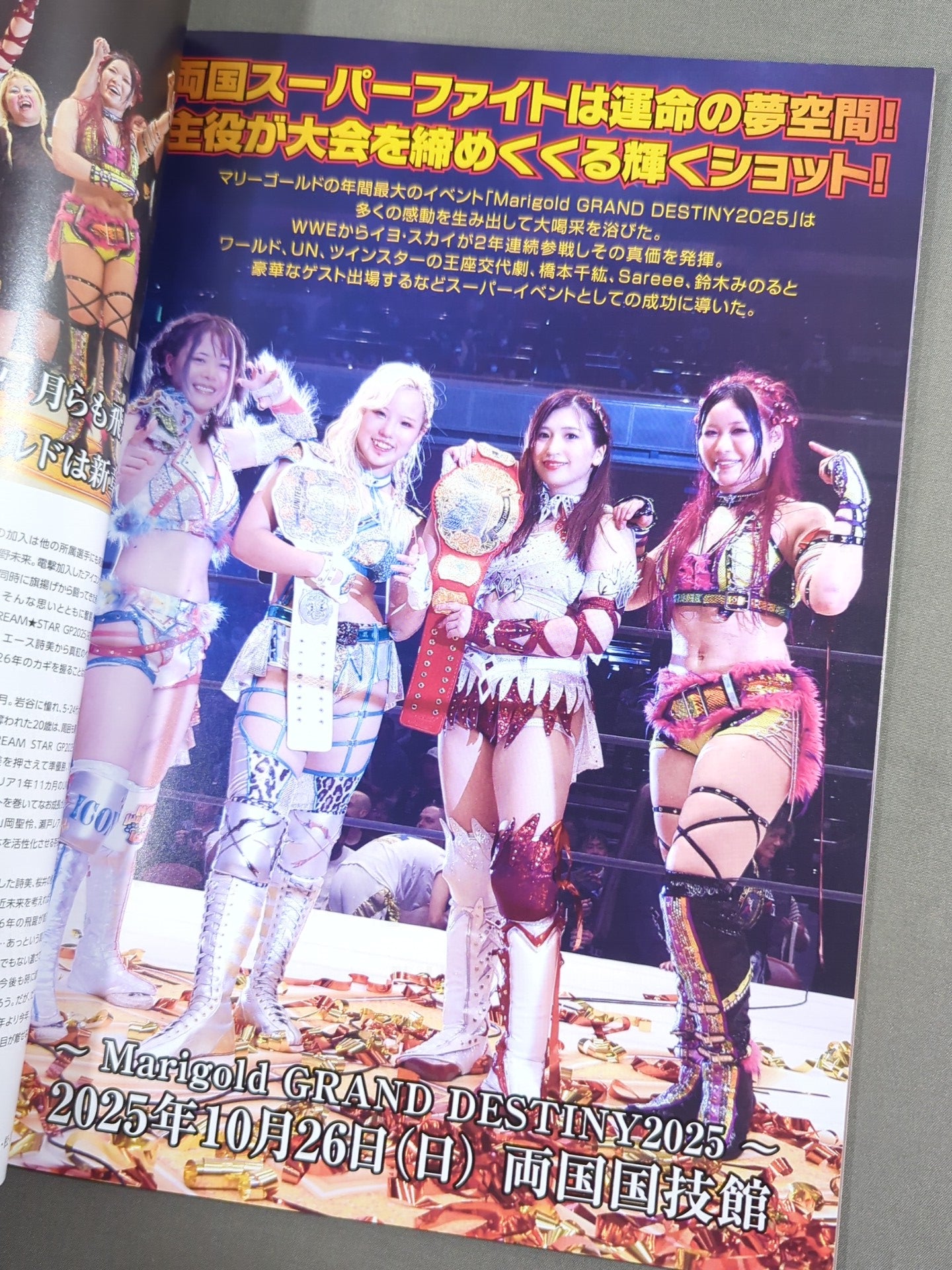 MARIGOLD GUIDE BOOK Vol.16