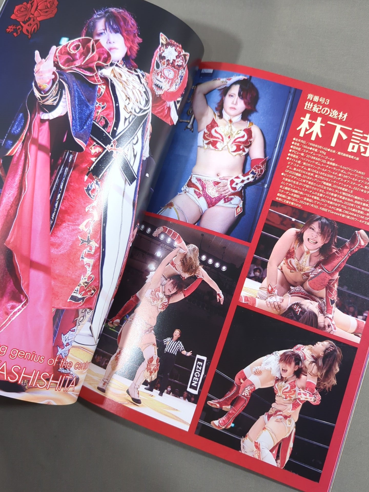 MARIGOLD GUIDE BOOK Vol.16