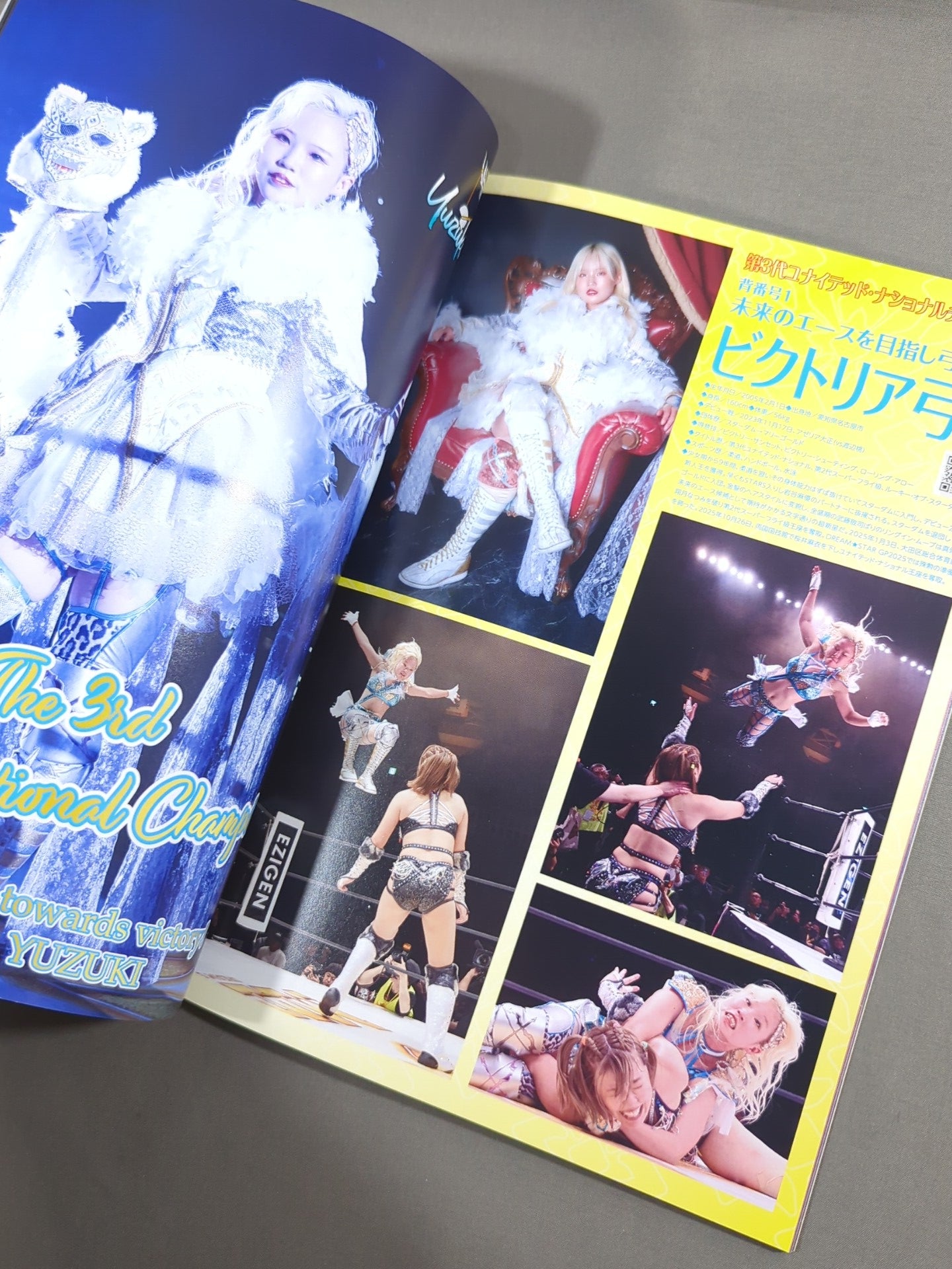 MARIGOLD GUIDE BOOK Vol.16