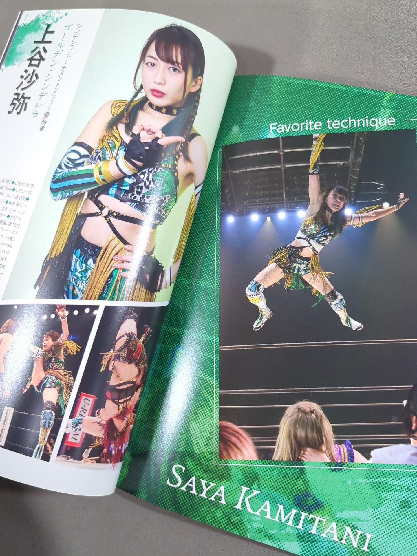 STARDOM OFFICIAL GUIDE BOOK Vol.138 – 闘道館