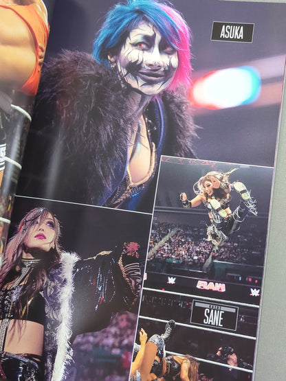 WWE OFFICIAL PROGRAM 2025