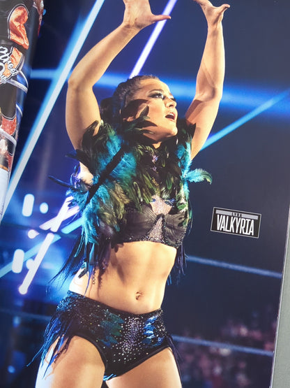 WWE OFFICIAL PROGRAM 2025