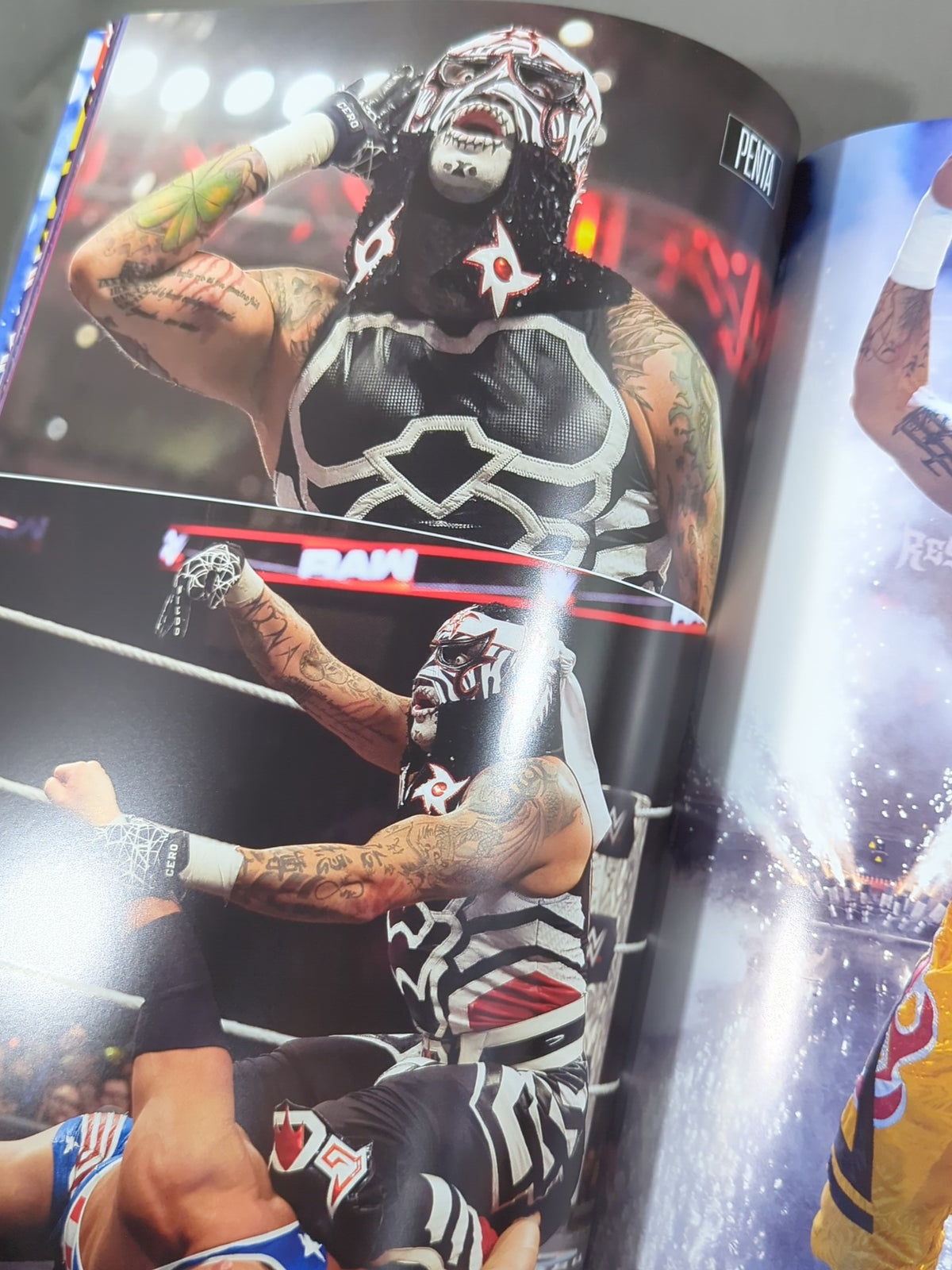WWE OFFICIAL PROGRAM 2025