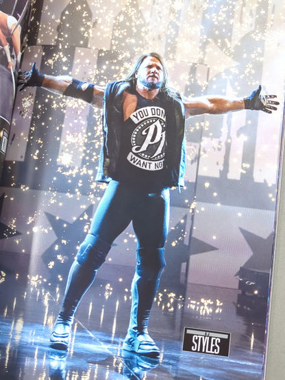 WWE OFFICIAL PROGRAM 2025