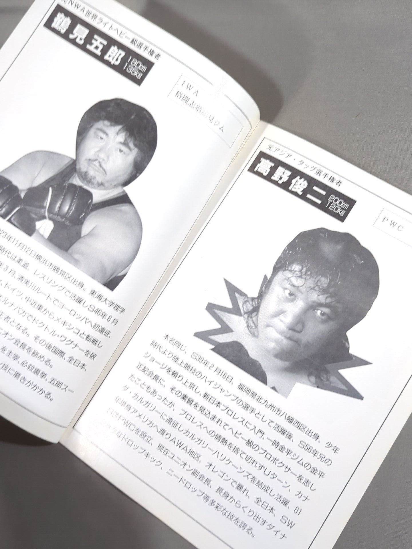 ユニオンプロレス 1994 PRO-WRESTLING UNION