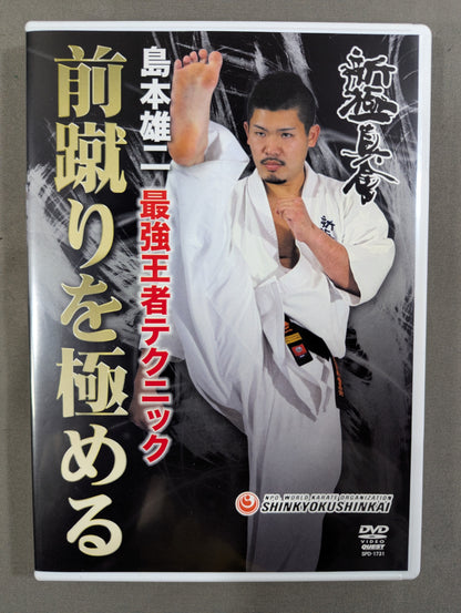 ★新極真会★ 島本雄二 最強王者テクニック 前蹴りを極める
