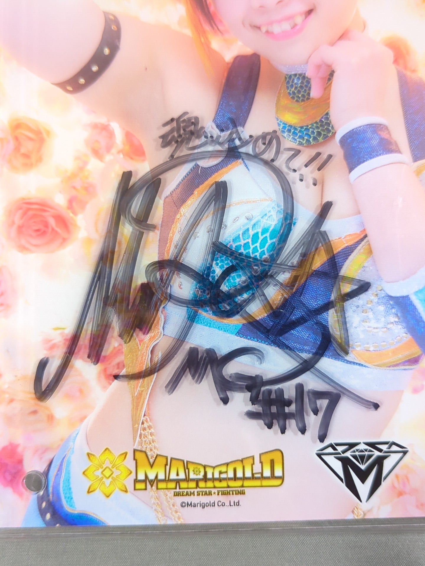 直筆サイン入り】MIRAI #17 マリーゴールド アクリルパネル – 闘道館