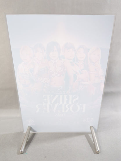 Marigold SHINE FOREVER 2025 Acrylic Panel