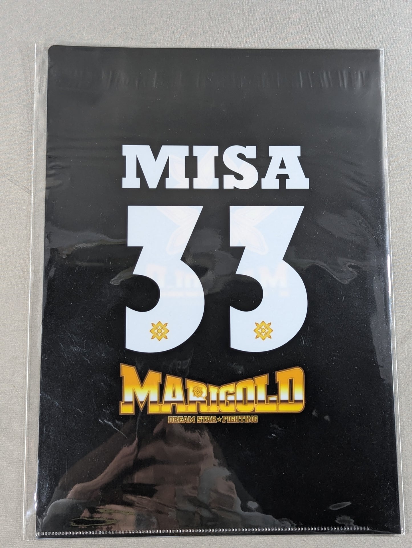 Misa Matsui  #33 Marigold plastic file folder 