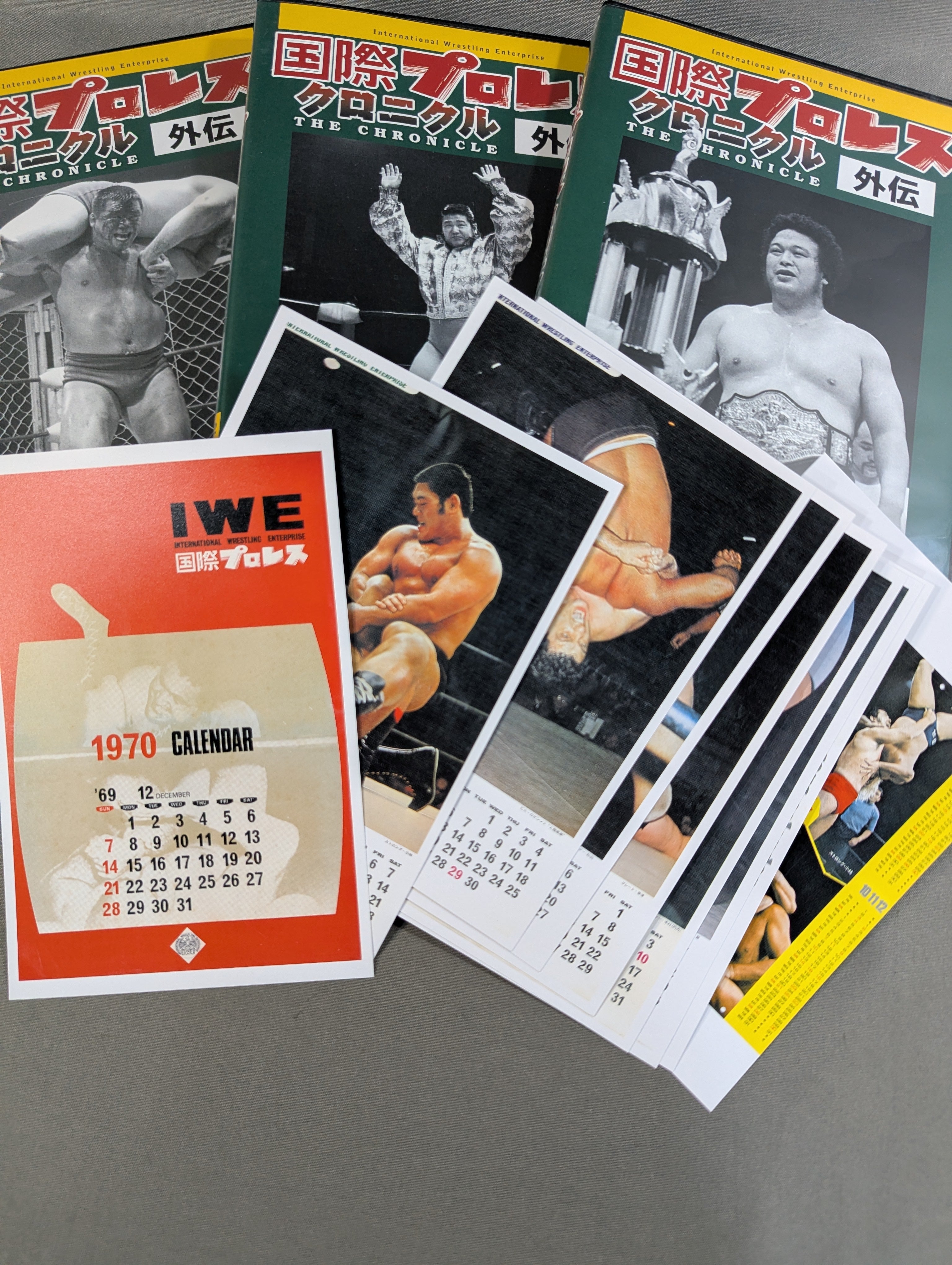 国際プロレス クロニクル【外伝】 – 闘道館