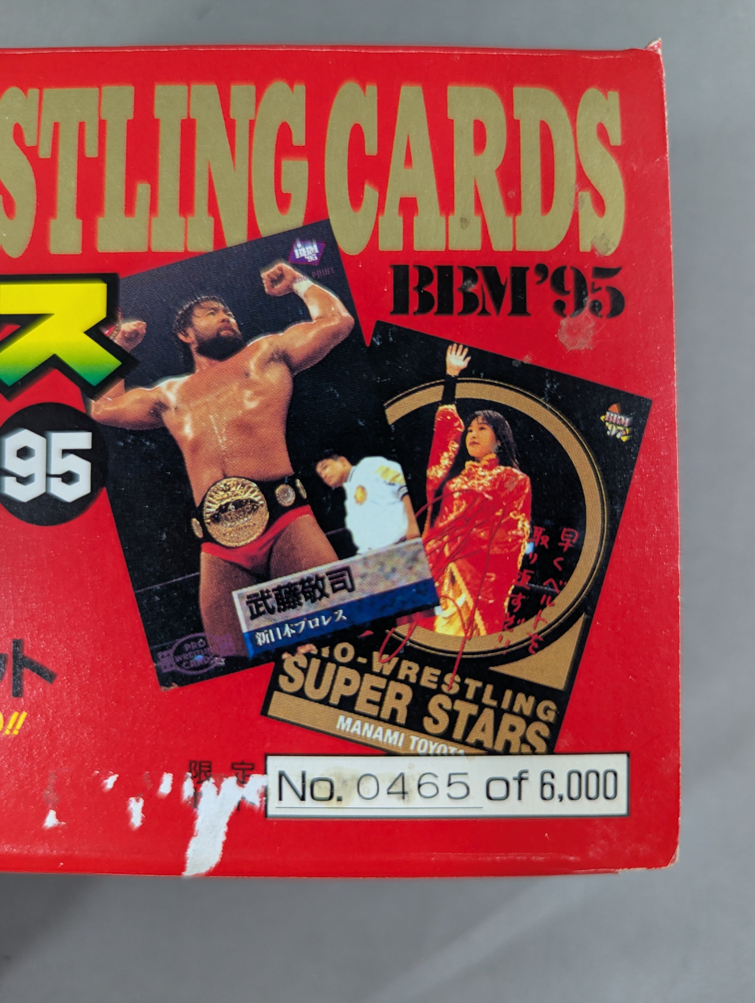 b*r様 全格闘技カード大百科 1995 BBM プロレスカード95 リプリント版 コンプリート・セット – 闘道館