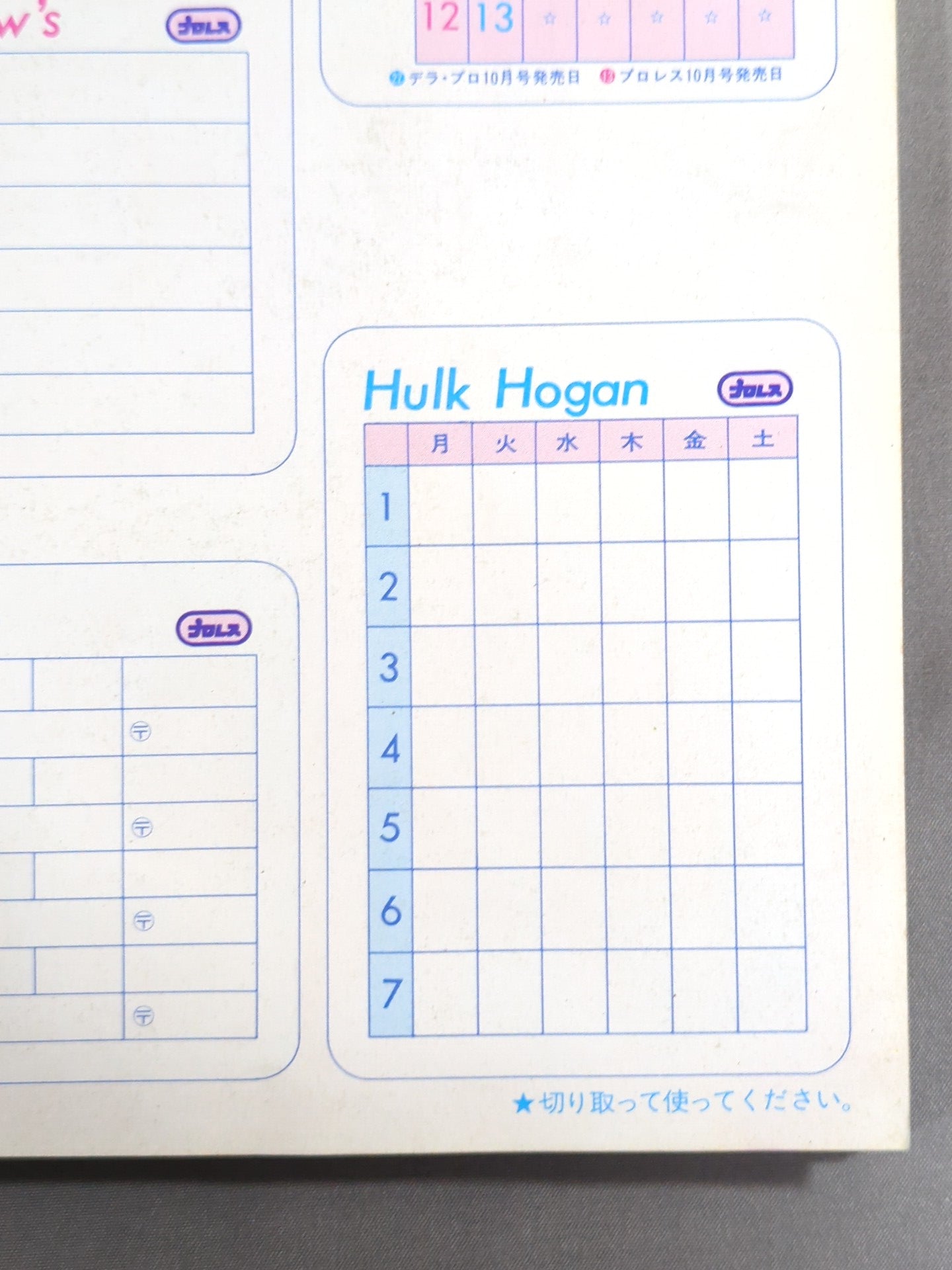 Hulk Hogan  Wrestler Cards(2)