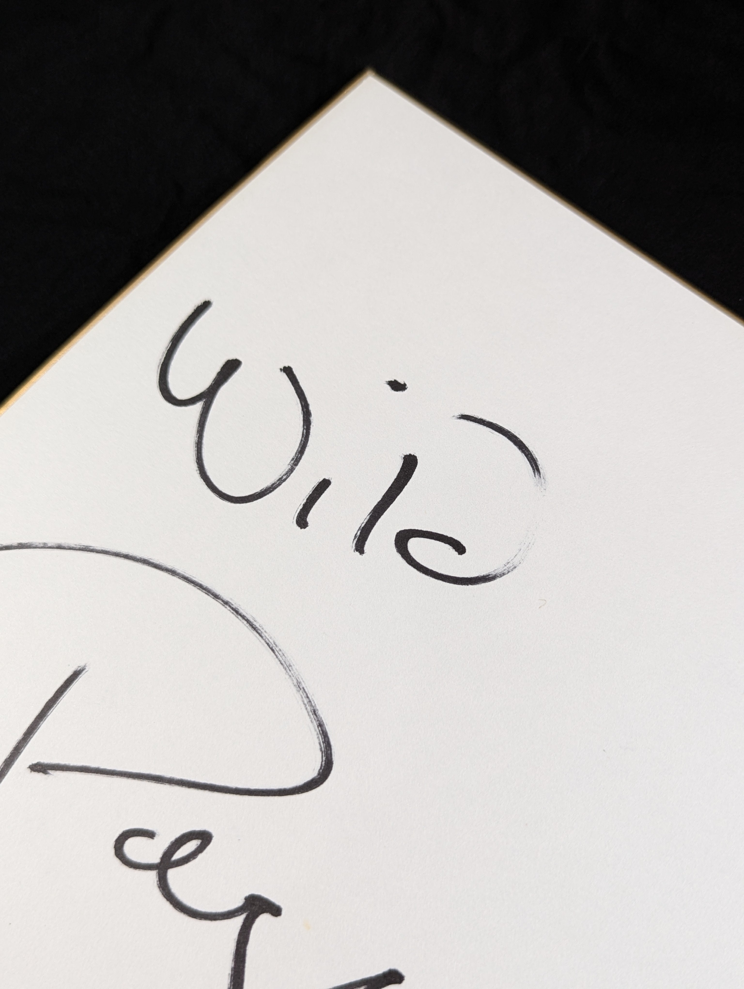 ワイルド・ペガサス – 闘道館