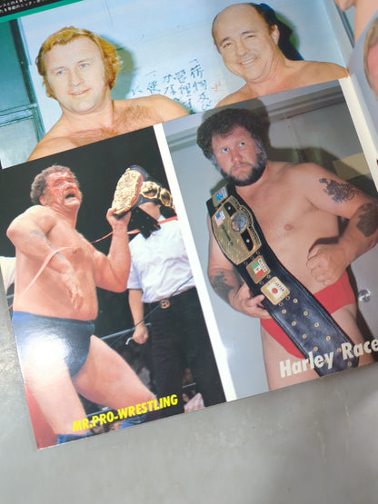 プロレスアルバム27 Mr.プロレス