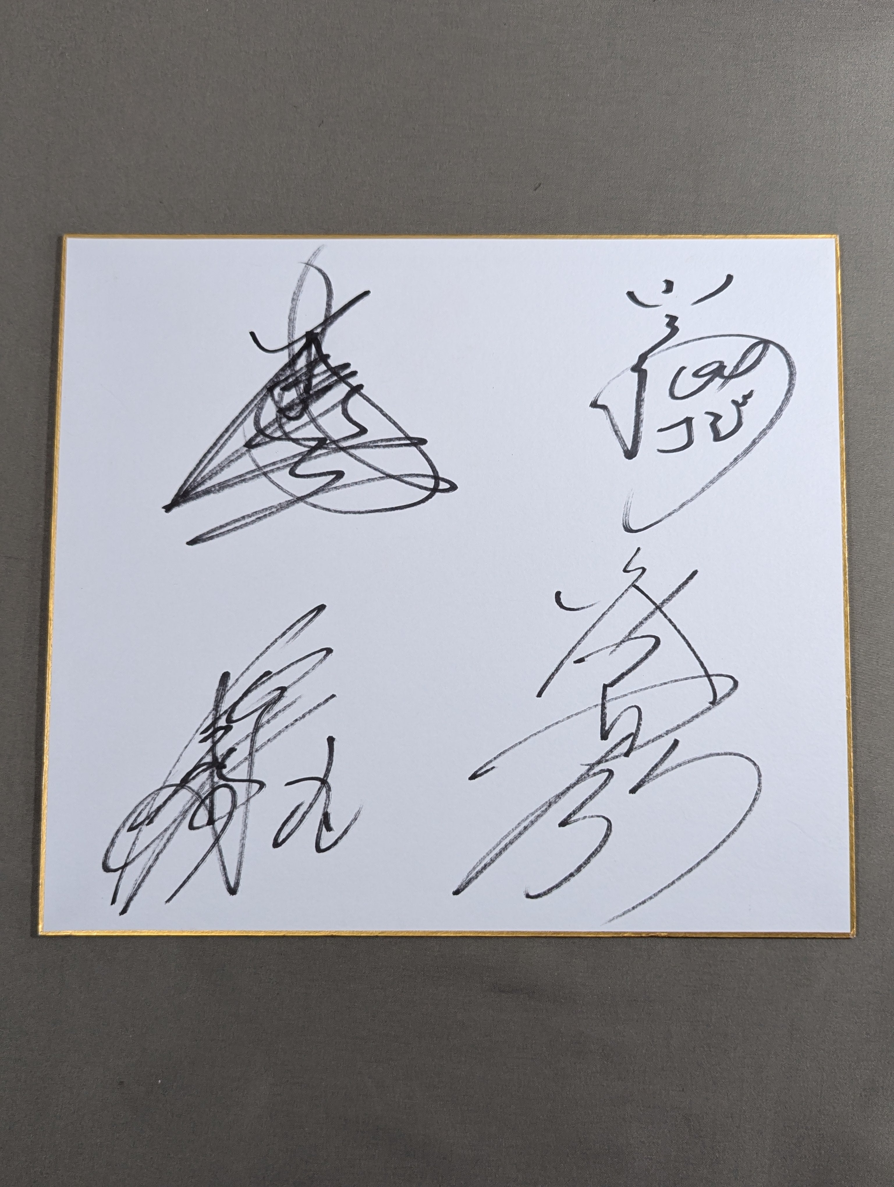 スティーヴ・ヴァン・ザントの自叙伝【サイン本】 天山広吉＆小島聡＆田中将斗＆大谷晋二 – 闘道館