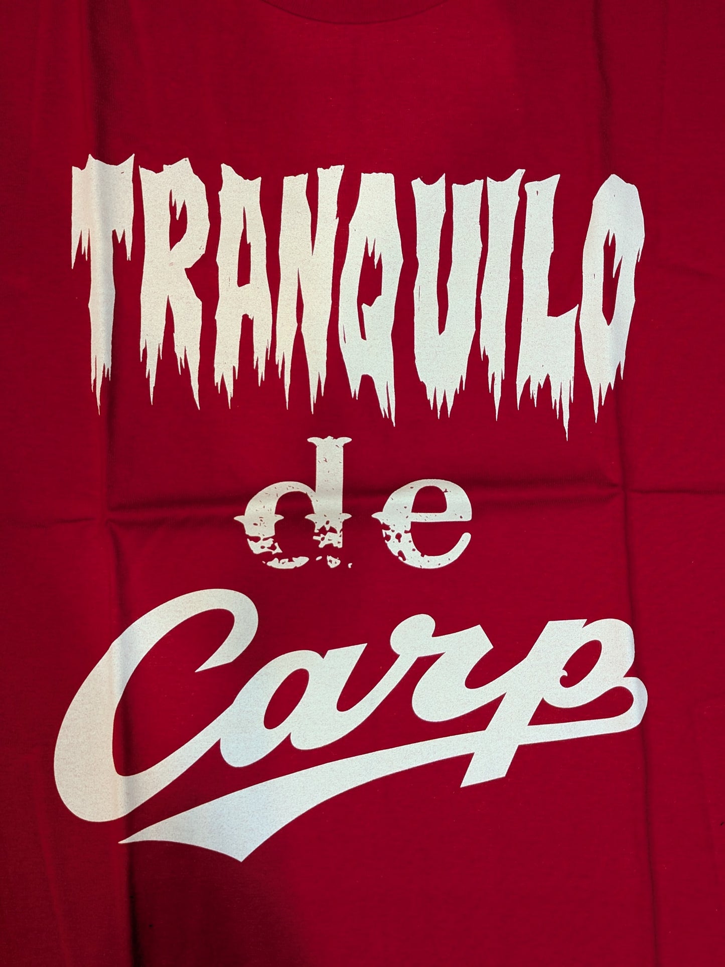 Hiroshima Toyo Carp × Tetsuya Naito "TRANQUILO de Carp" T-shirt (red)