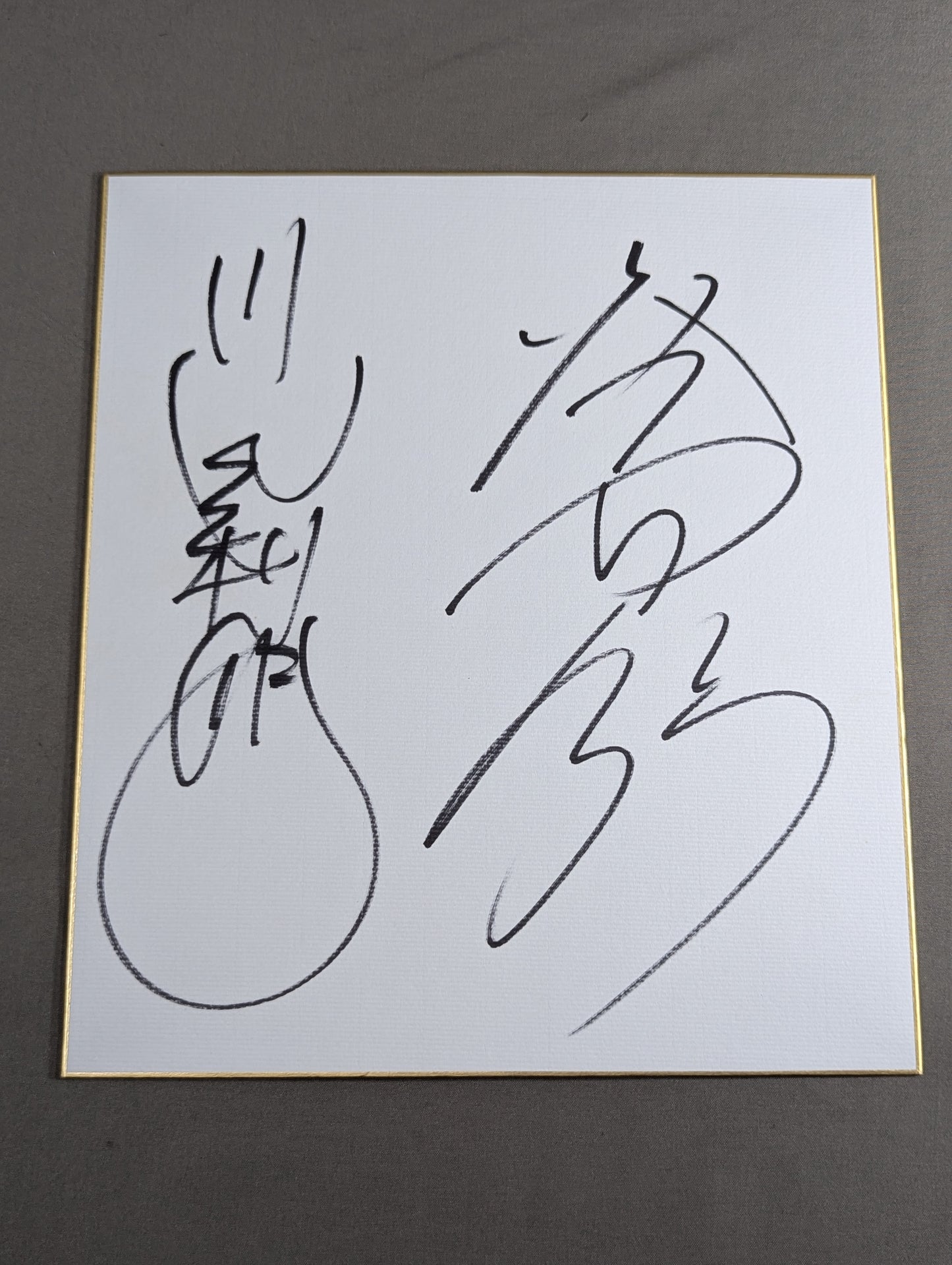 川田利明＆大谷晋二郎