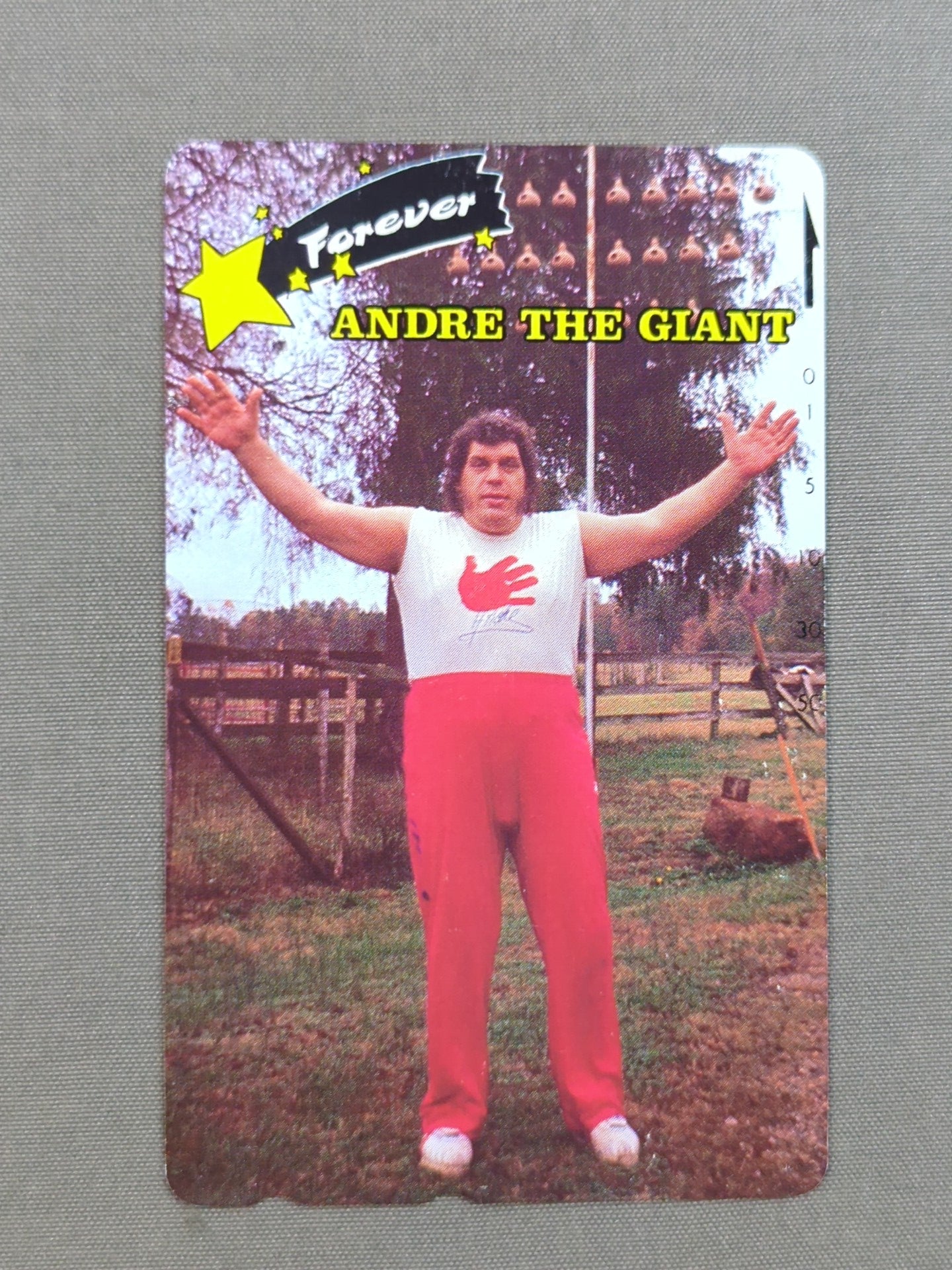 アンドレ・ザ・ジャイアント Forever ANDRE THE GIANT