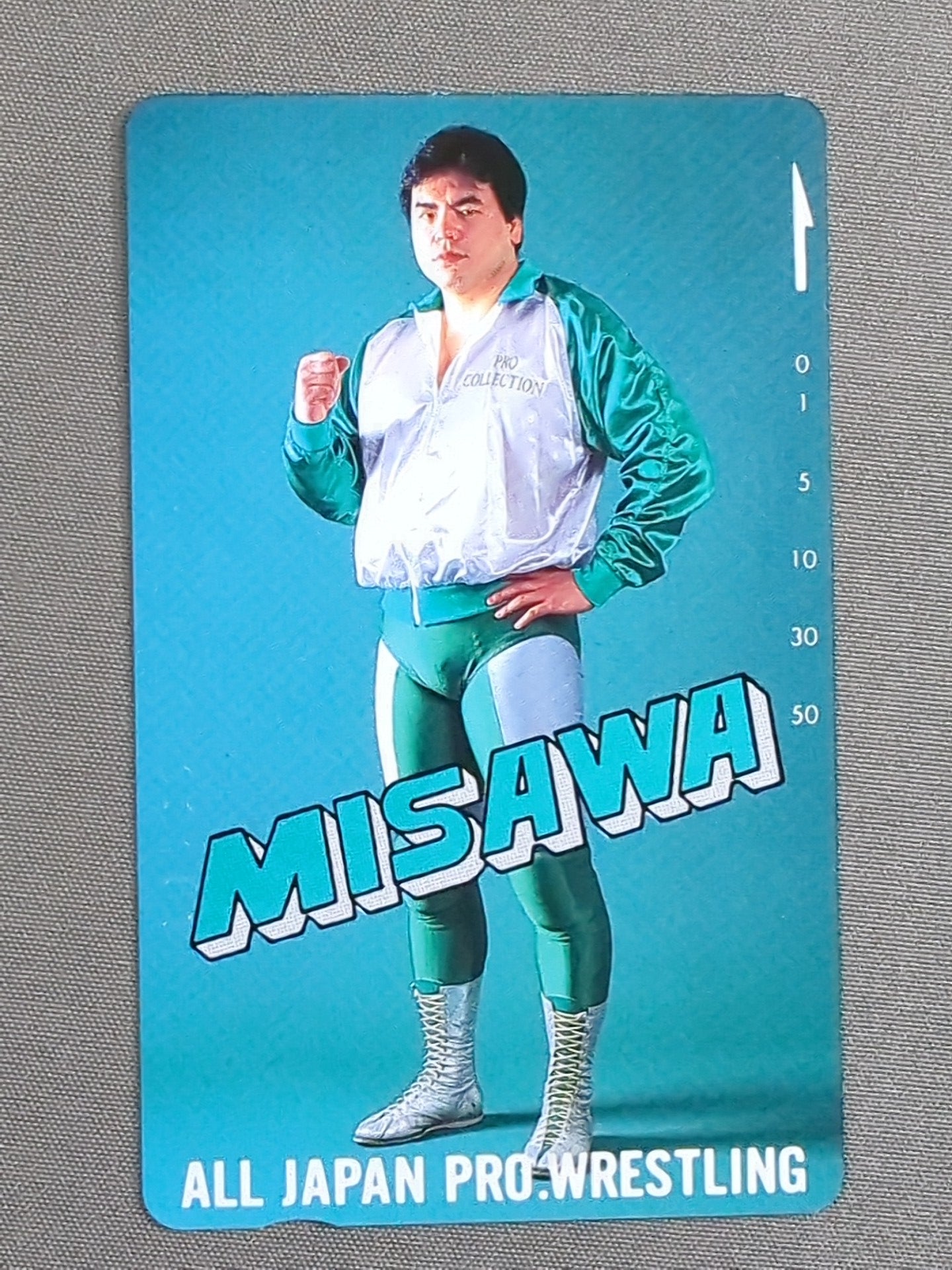 Mitsuharu Misawa (7)