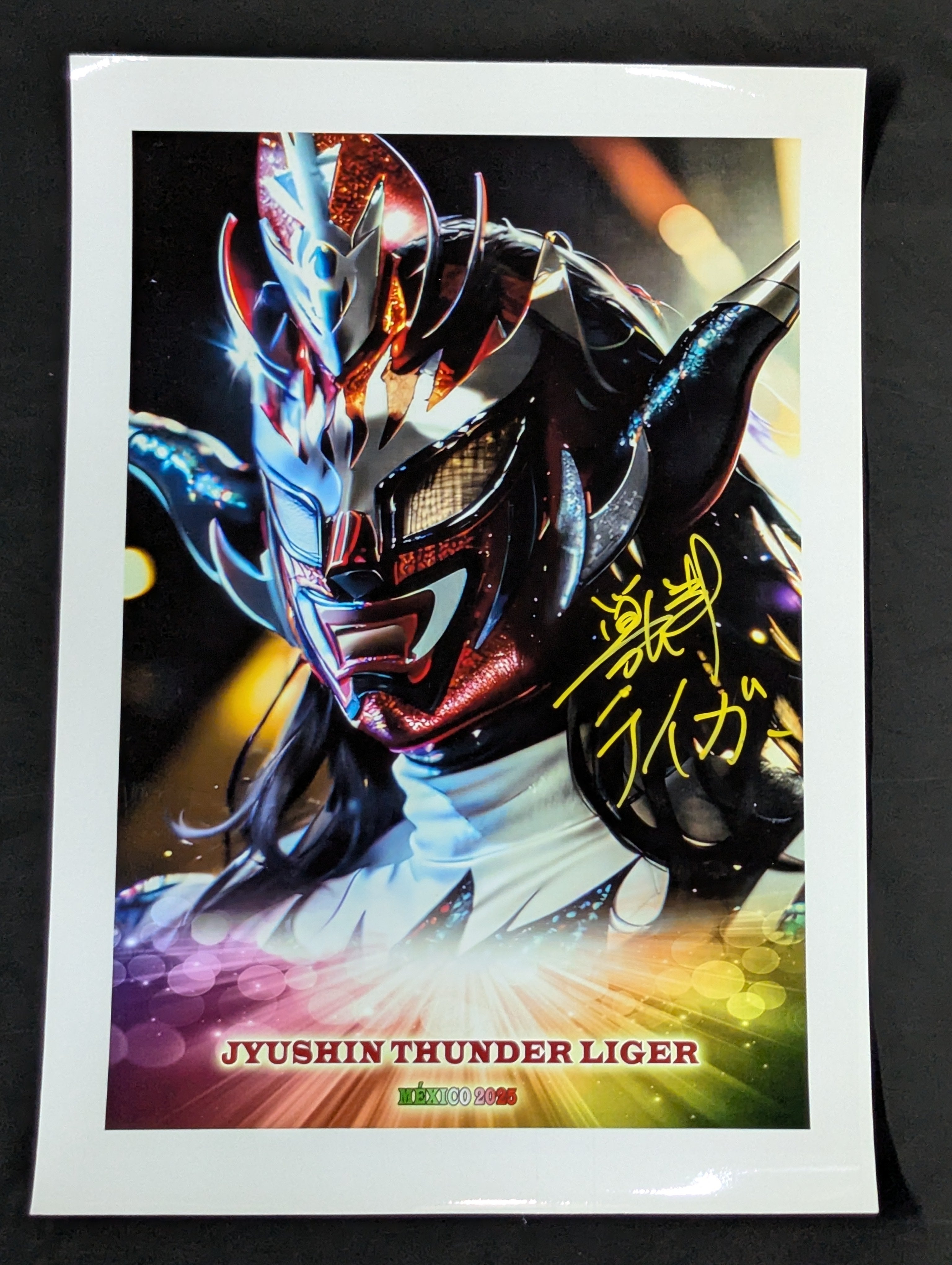 獣神サンダー・ライガー 直筆サイン入りポートレート④ – 闘道館
