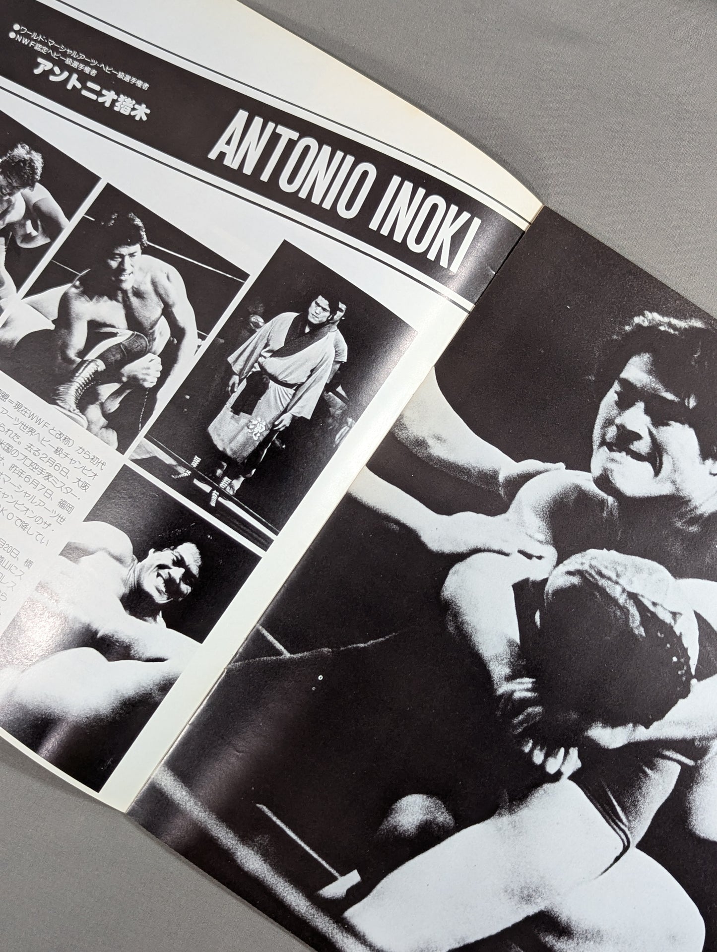 ★ Inoki vs Left Hook Dayton ★ World Martial Arts Heavyweight fighters championship match