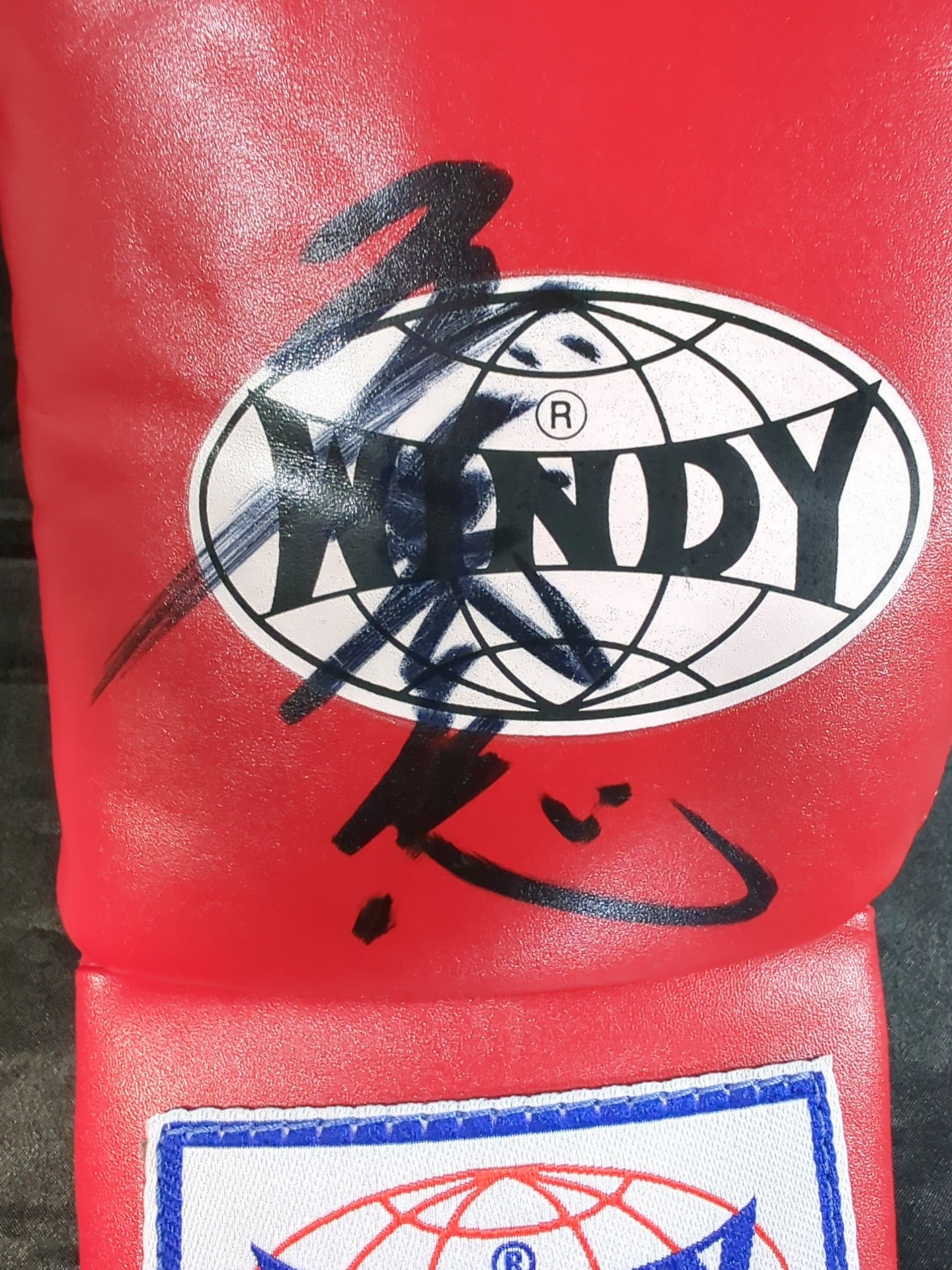 4選手直筆サイン入り】WINDY ボクシンググローブ – 闘道館