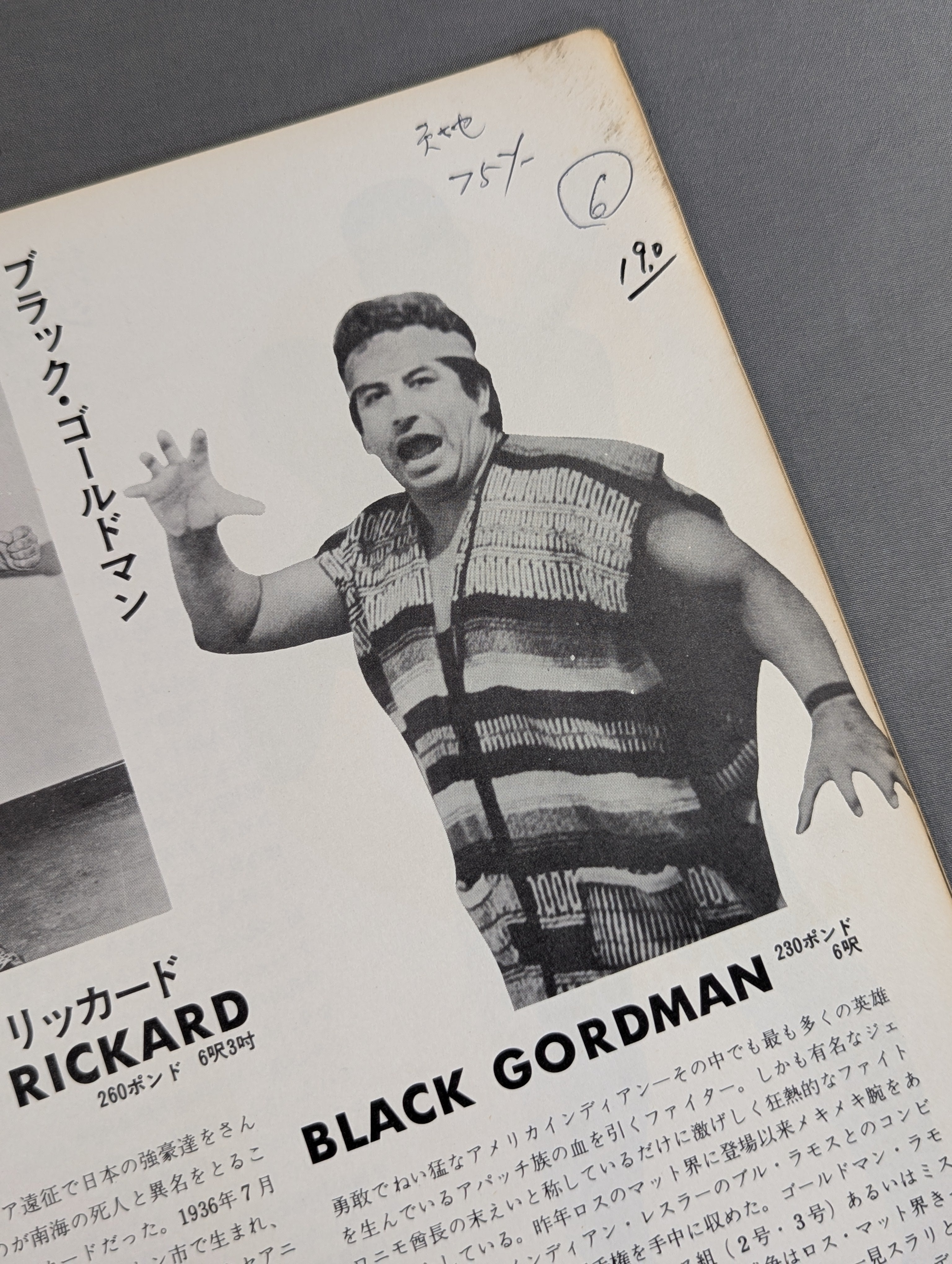 69第4回ダイヤモンド・ビッグシリーズ – 闘道館