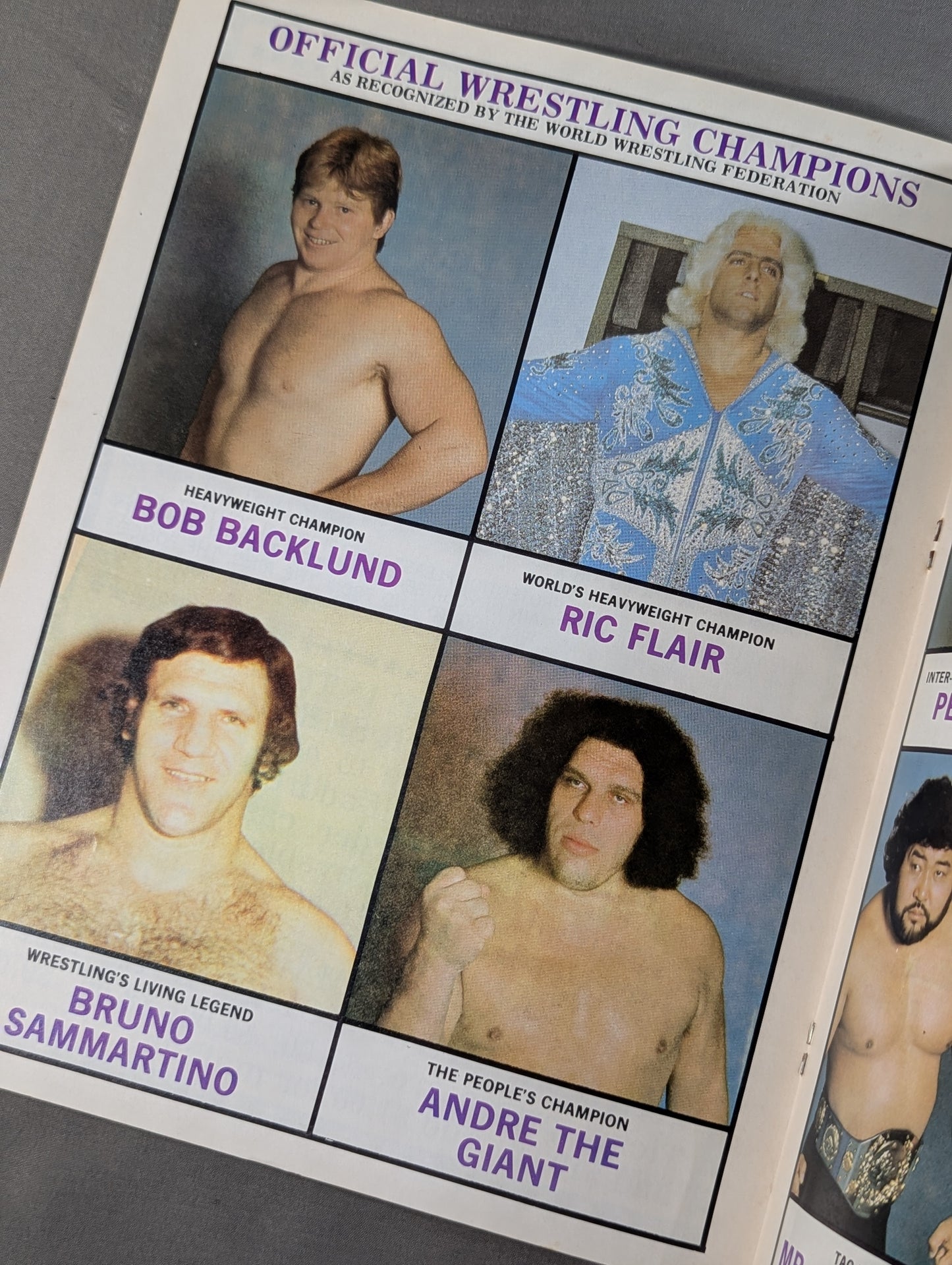 ★バックランドvsアドニス 王座戦★ W.W.F. CHAMPIONSHIP WRESTLING OFFICIAL PROGRAM MAGAZINE No.50